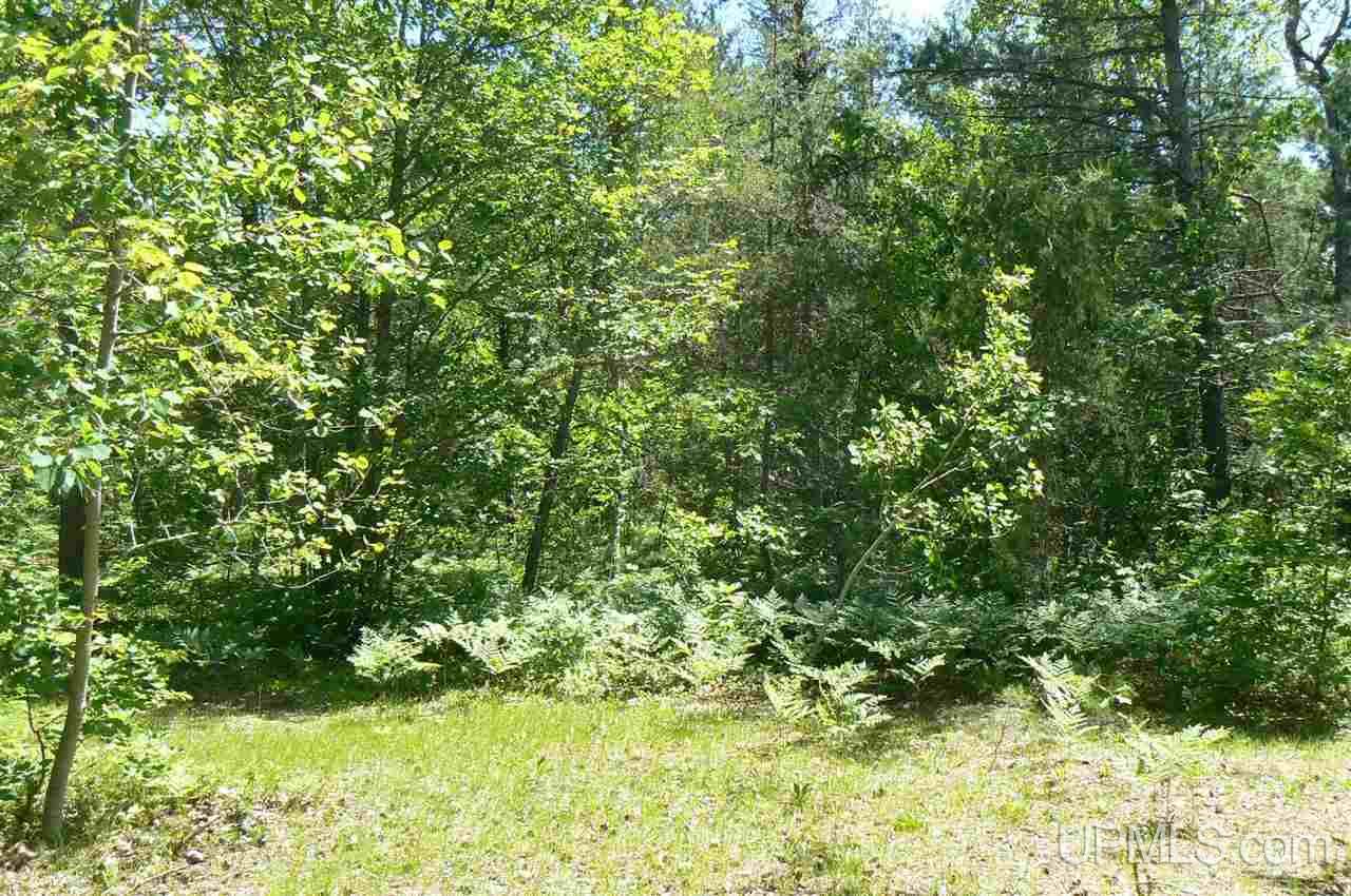 N5491 Chamberlain Road, Unit PARCEL A & B Wetmore, MI 49895 - Photo 15 of 21
