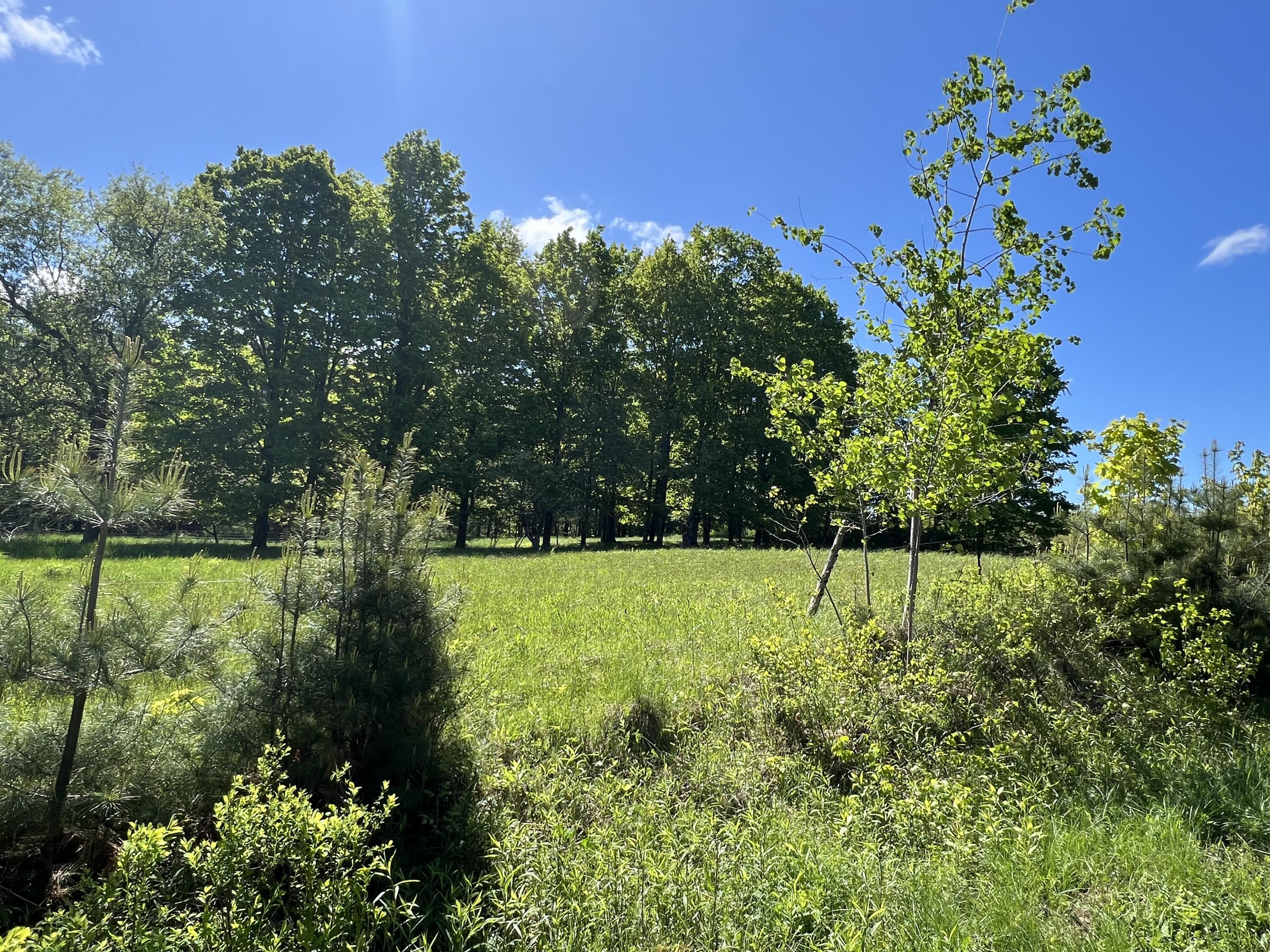 96 Exeter Road Garland, ME 04939 - Photo 62 of 77 59