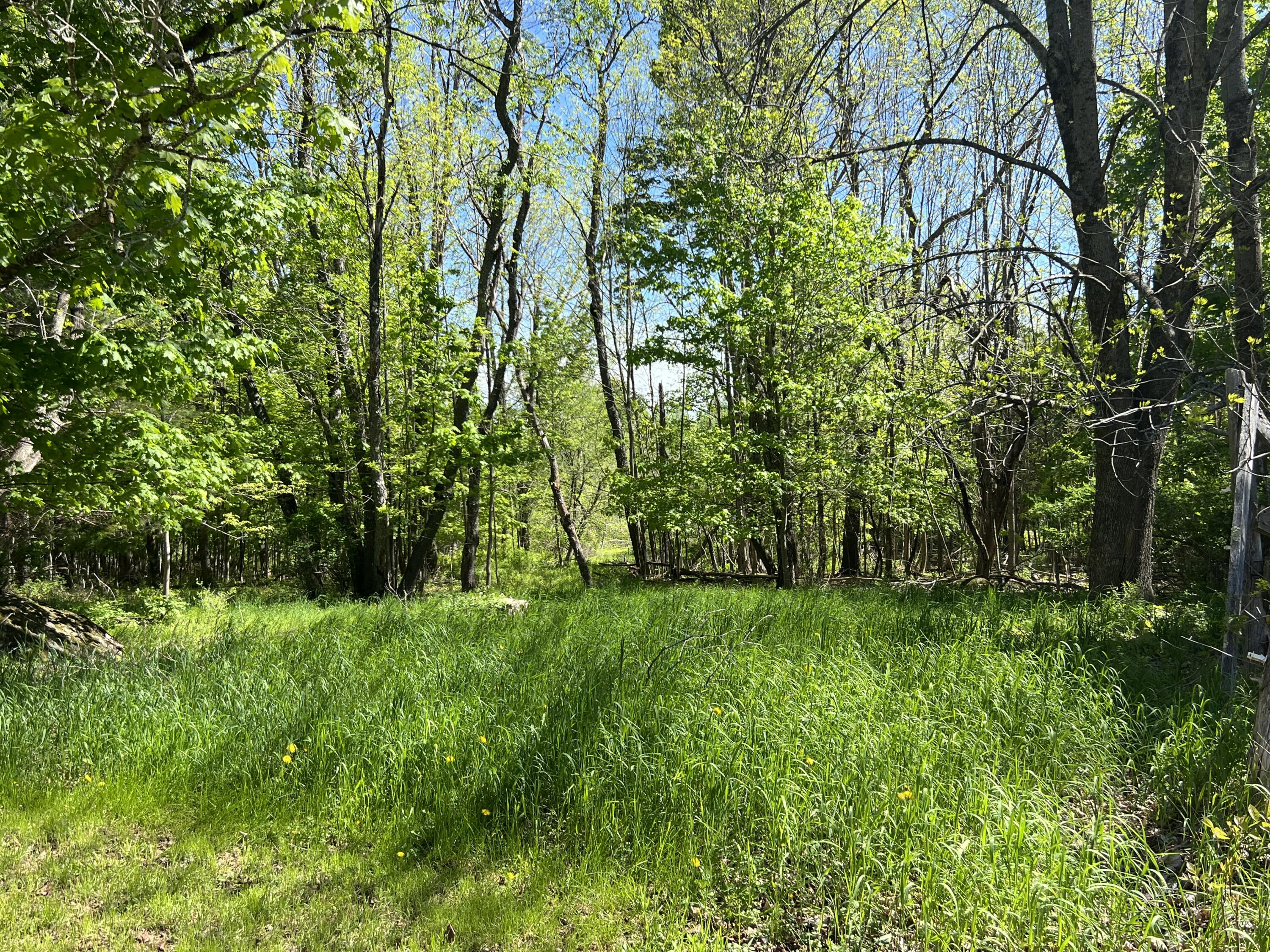 96 Exeter Road Garland, ME 04939 - Photo 72 of 77 69