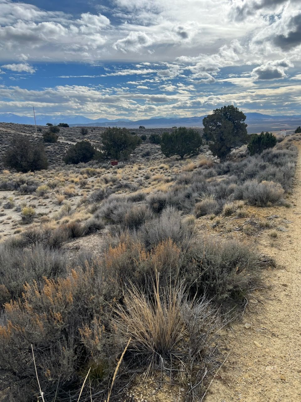 N/a Grant Avenue Spring Creek, NV 89815 - Photo 4 of 10