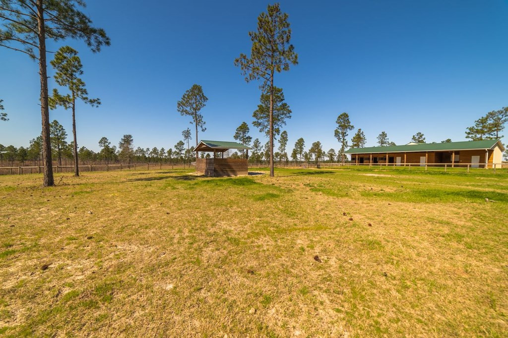 1942 Joyner Pond Road Aiken, SC 29803 - Photo 22 of 24 Gallery Image 22