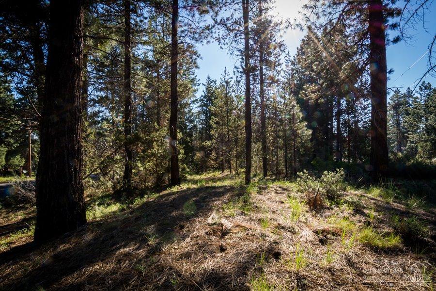 17063 Milky Way Road Bend, OR 97707 - Photo 3 of 14 Additional Photo