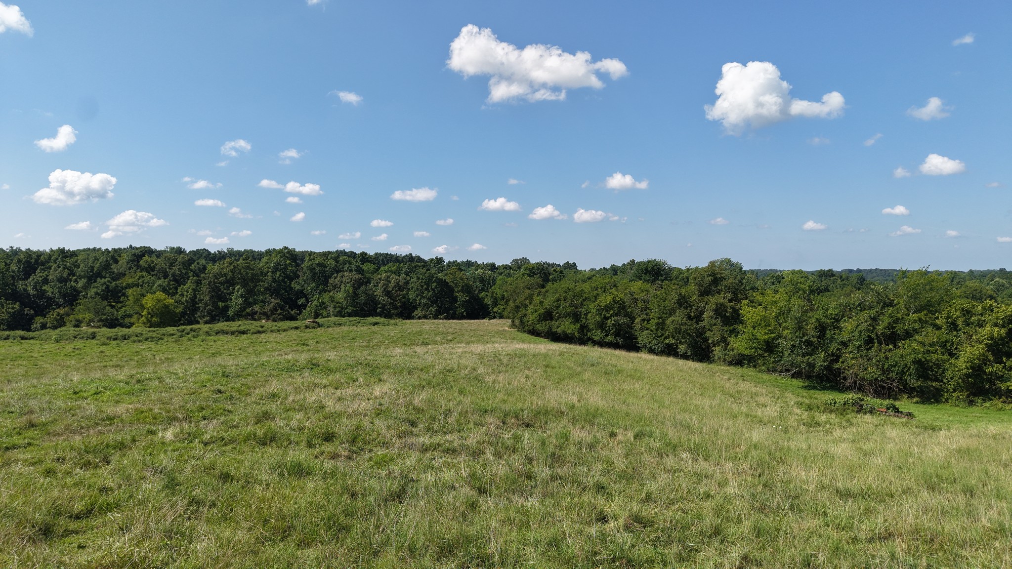 150 Piper Road Portland, TN 37148 - Photo 45 of 50 Gallery Image 45