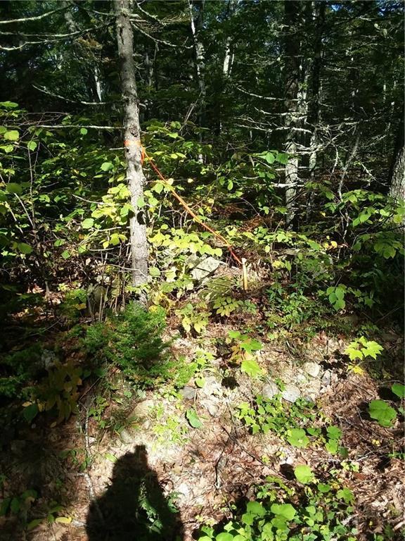88 Browns Cove Road Round Pond, ME 04564 - Photo 10 of 11 Corner Stake