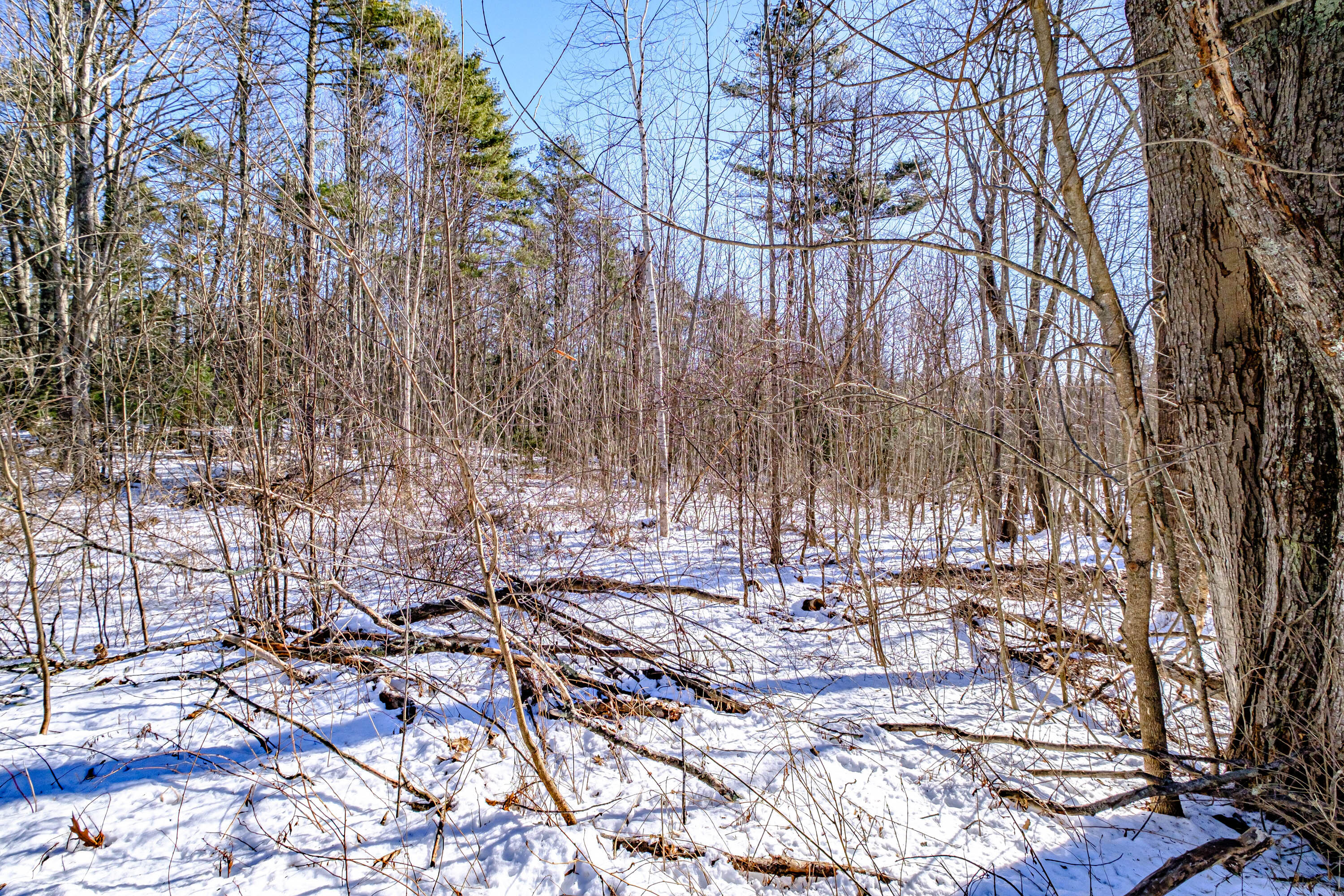 3 Ground Swell Freeport, ME 04032 - Photo 23 of 24 20240205gp-60047