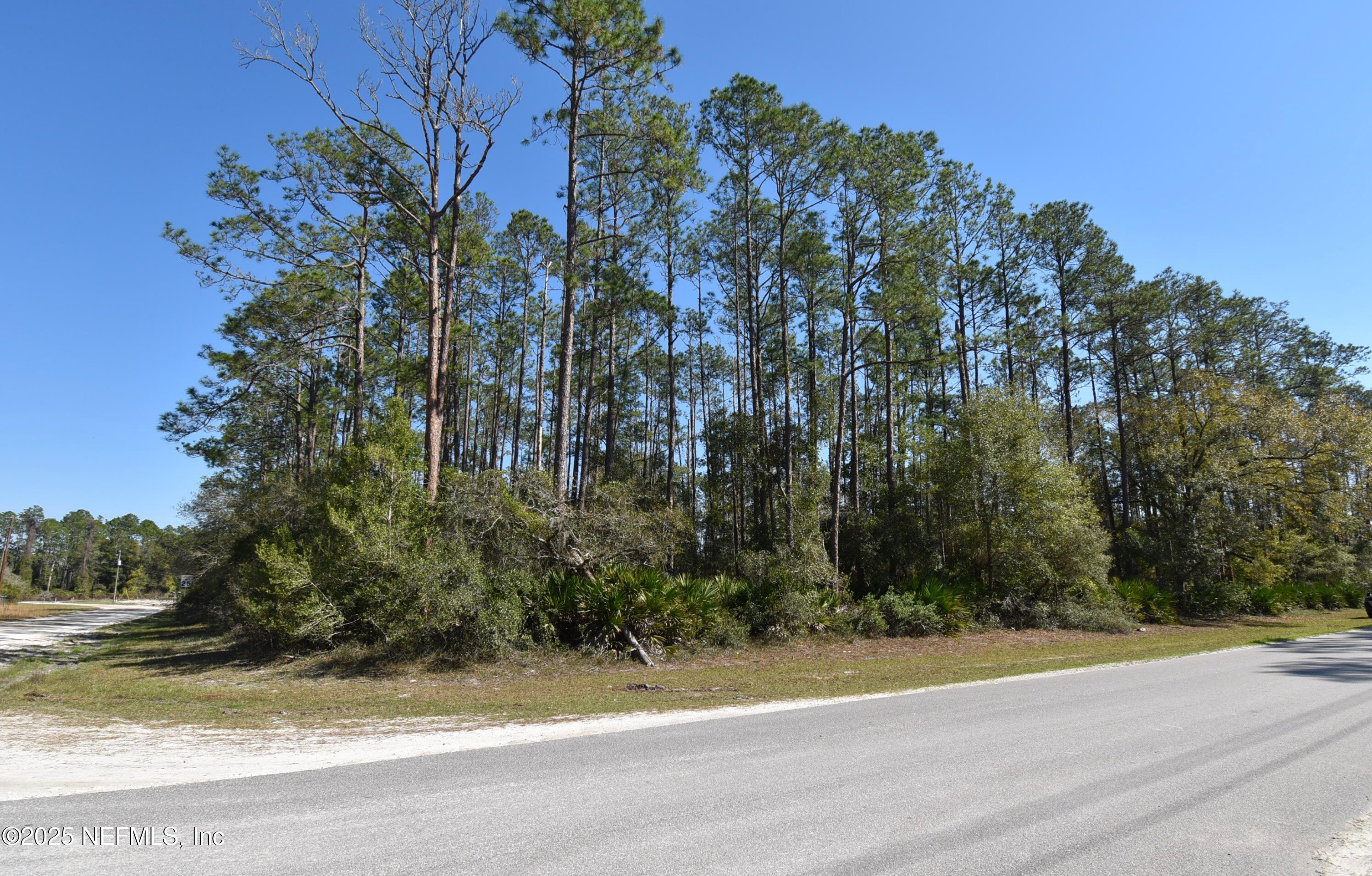 Lot 34 Whispering Pines Road Georgetown, FL 32139 - Photo 1 of 9 DSC_0307-1