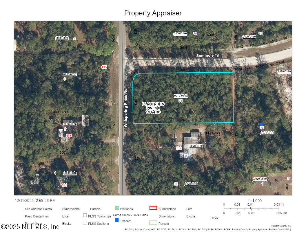 Lot 34 Whispering Pines Road Georgetown, FL 32139 - Photo 2 of 9 GIS SATELLITE MAP - LOT JPG