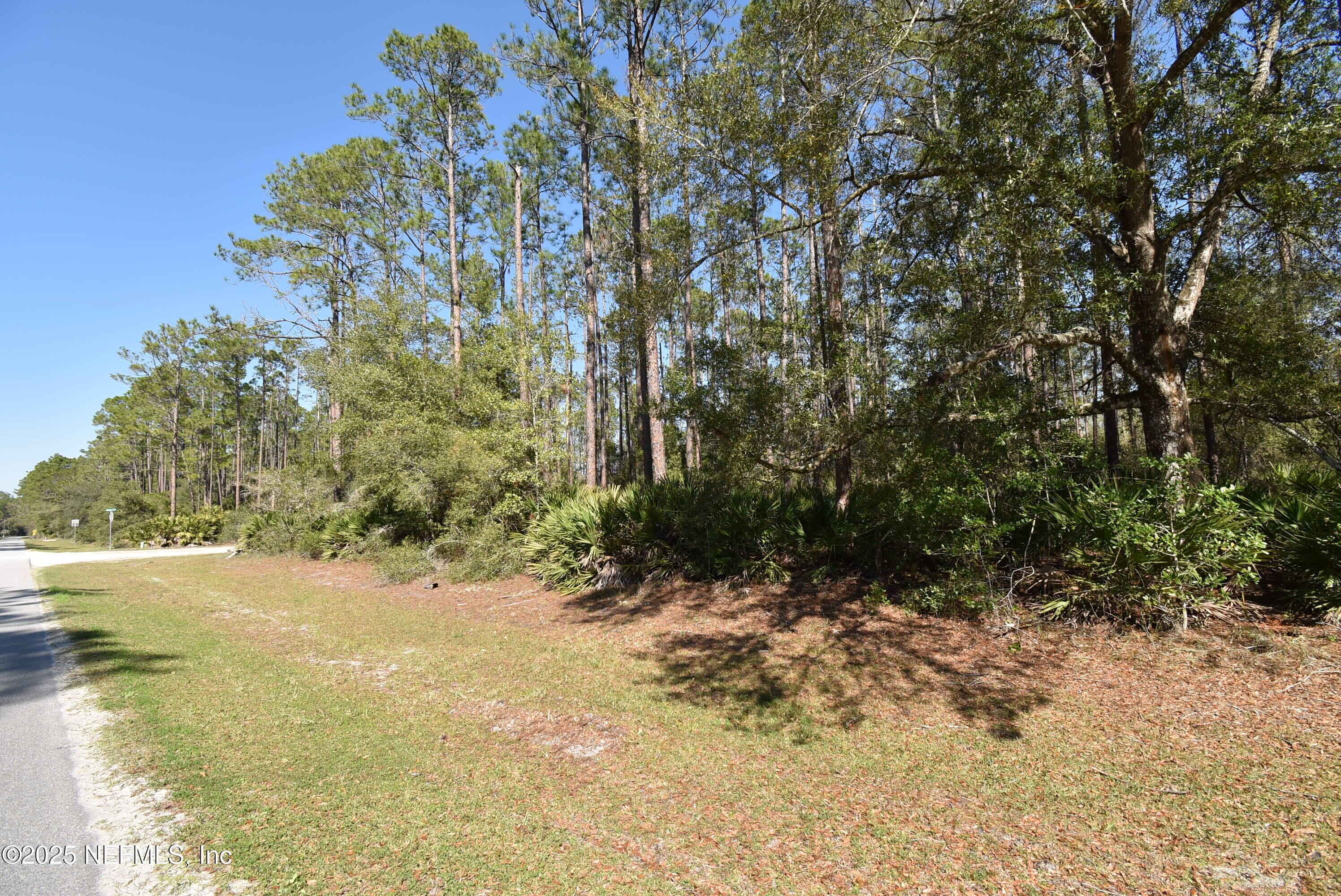 Lot 34 Whispering Pines Road Georgetown, FL 32139 - Photo 3 of 9 DSC_0308