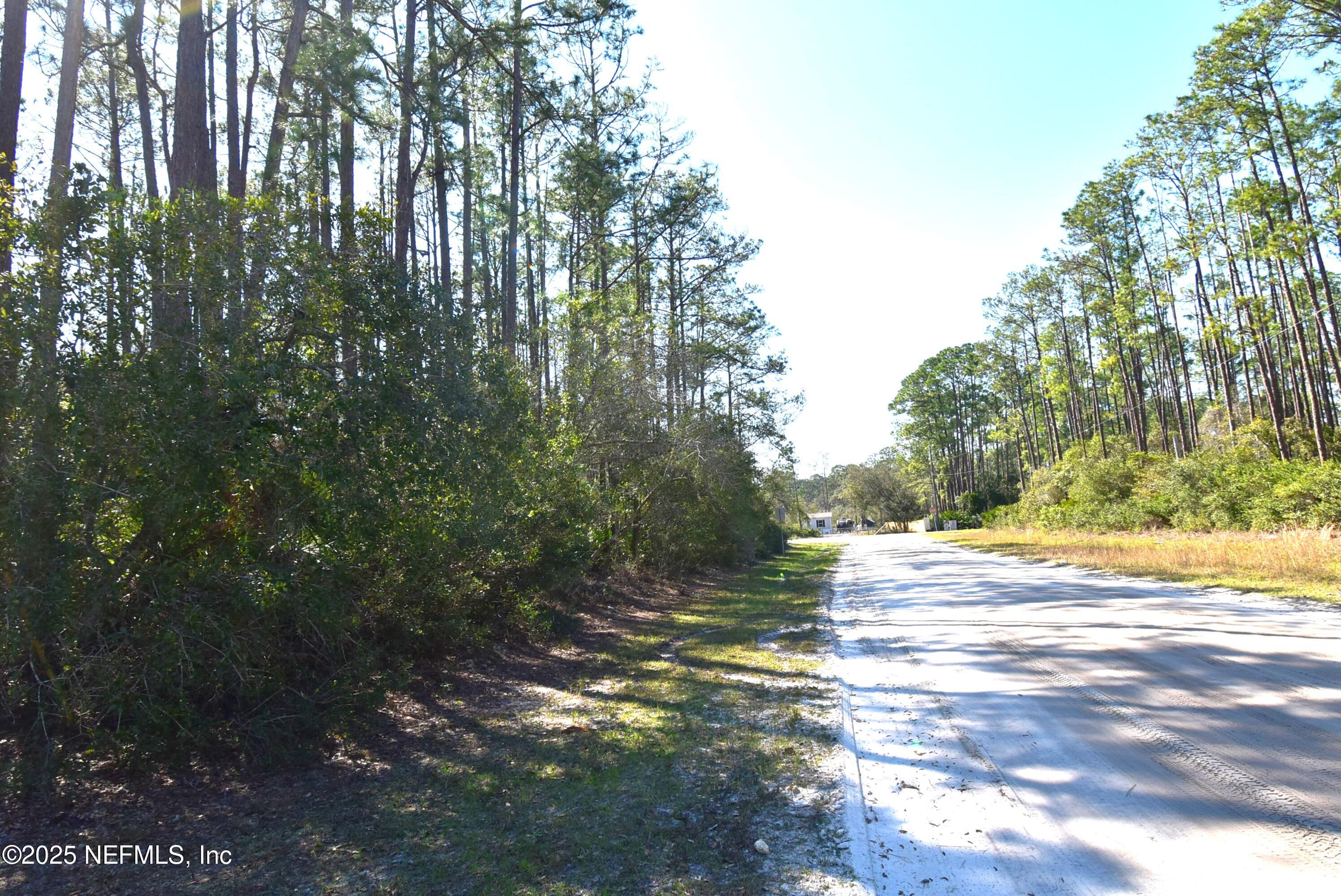 Lot 34 Whispering Pines Road Georgetown, FL 32139 - Photo 4 of 9 DSC_0305-1