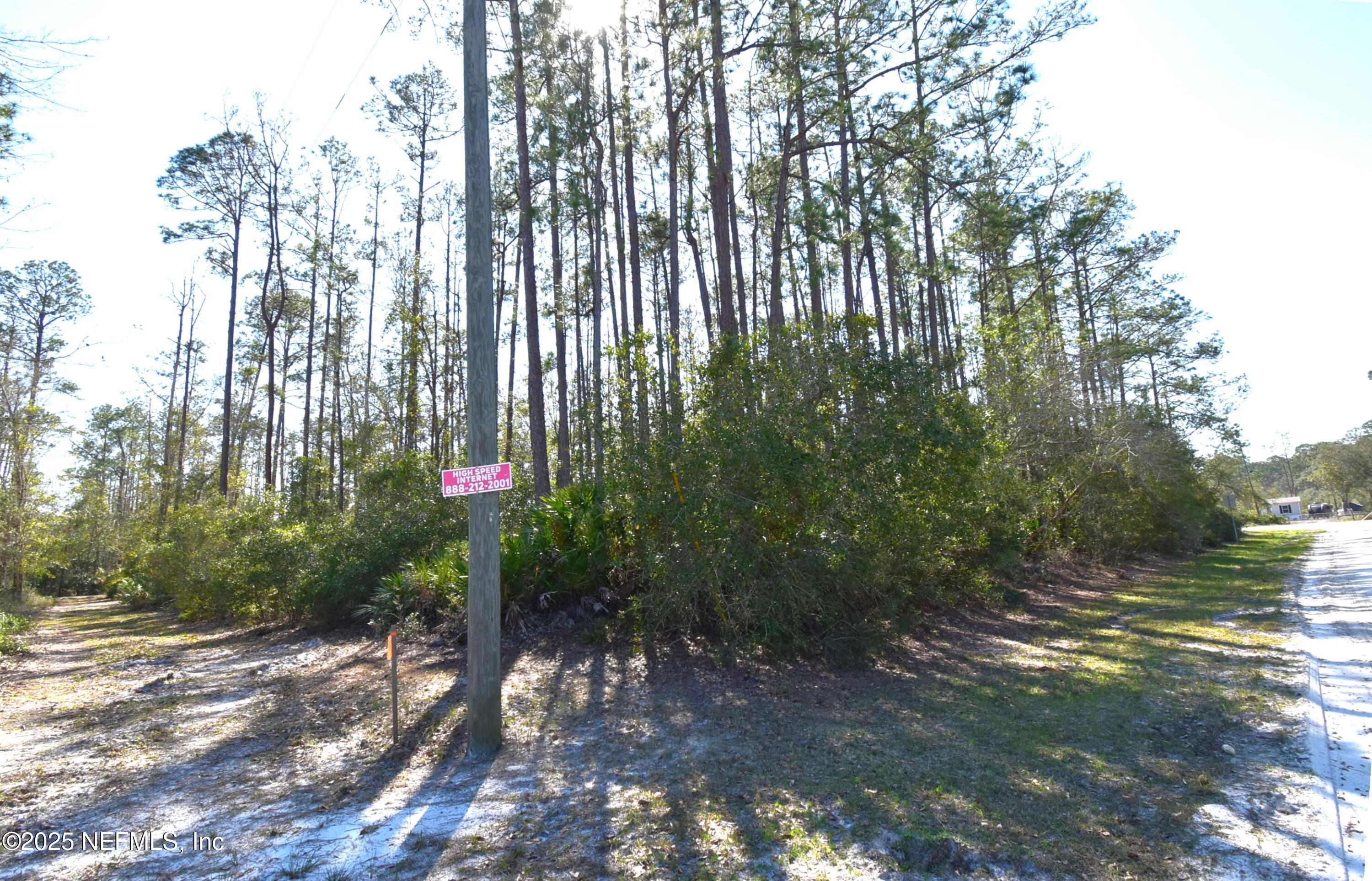 Lot 34 Whispering Pines Road Georgetown, FL 32139 - Photo 5 of 9 DSC_0304-1