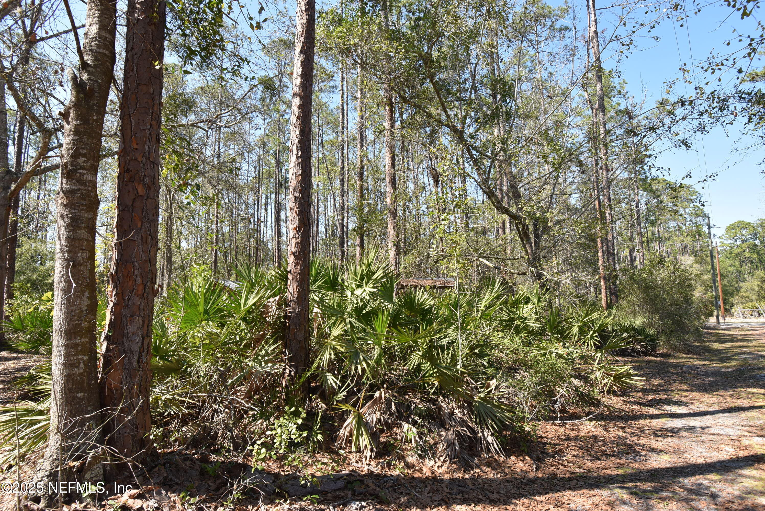 Lot 34 Whispering Pines Road Georgetown, FL 32139 - Photo 6 of 9 DSC_0301