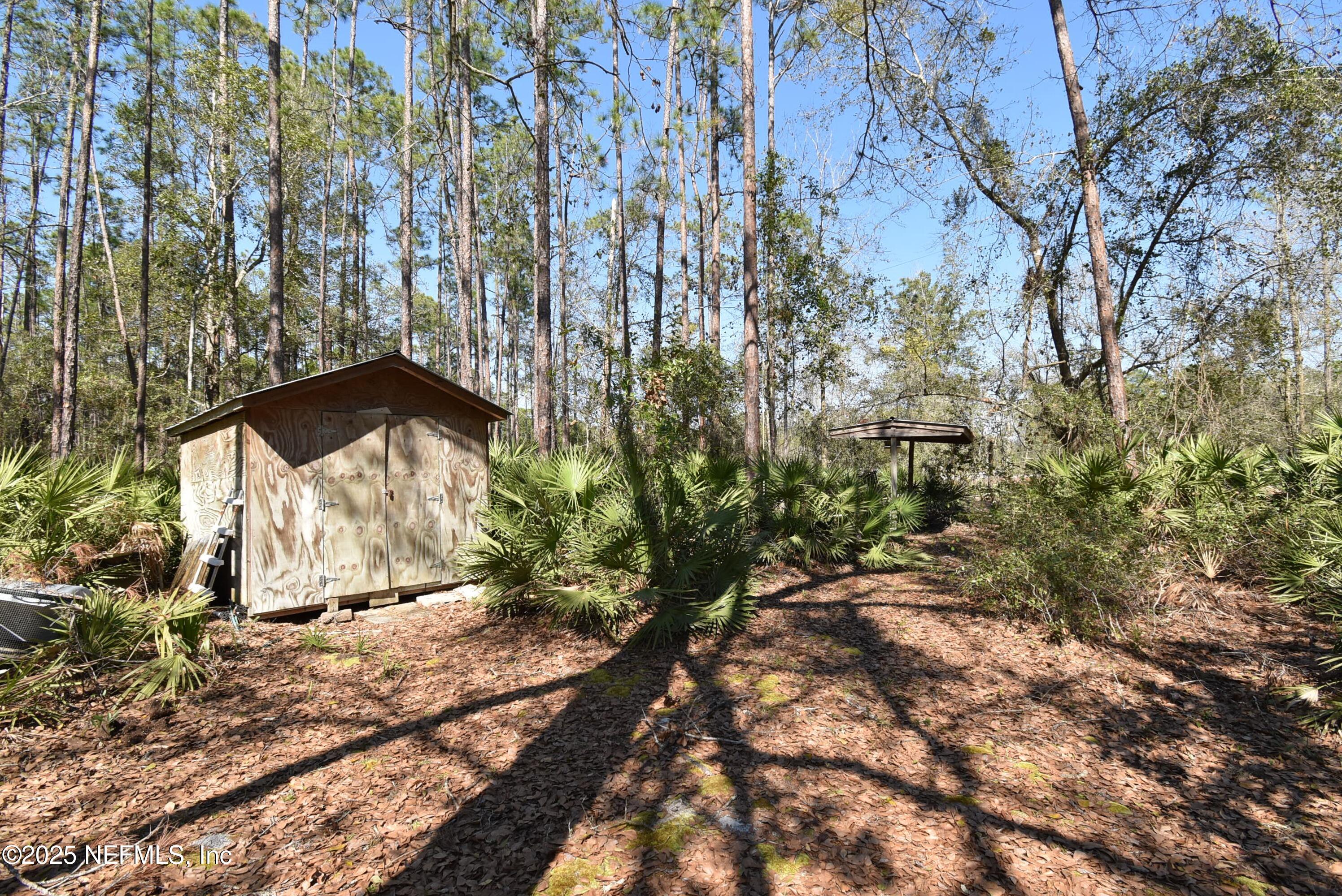 Lot 34 Whispering Pines Road Georgetown, FL 32139 - Photo 8 of 9 DSC_0299-1
