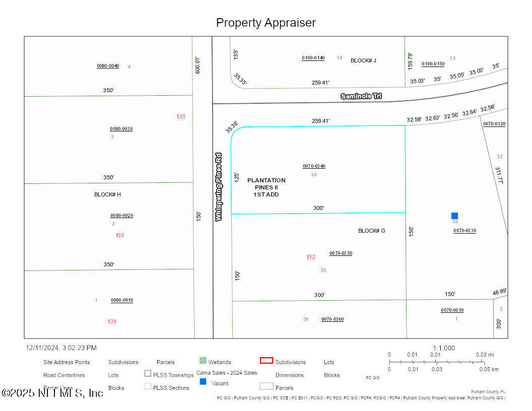 Lot 34 Whispering Pines Road Georgetown, FL 32139 - Photo 9 of 9 GIS LOT MAP - LOT JPG