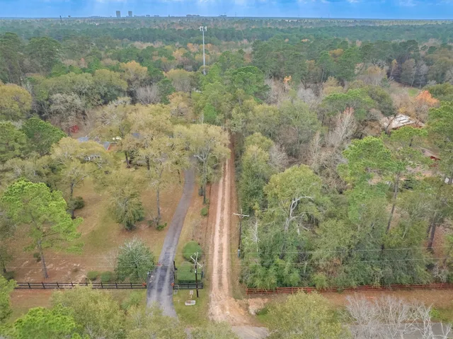 a view of a forest with a yard
