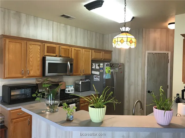 a kitchen with a potted plant on the counter and cabinets
