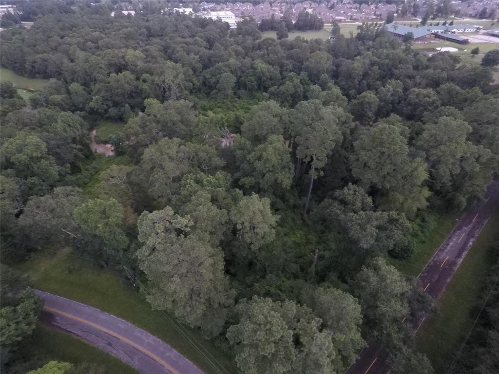 0 Creek Wood Drive Spring, TX 77389 - Photo 3 of 3 a view of a forest with a yard