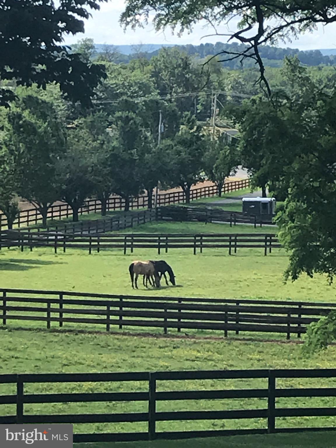 369 Snyder Road Reading, PA 19605 - Photo 54 of 56 Gallery Image 54