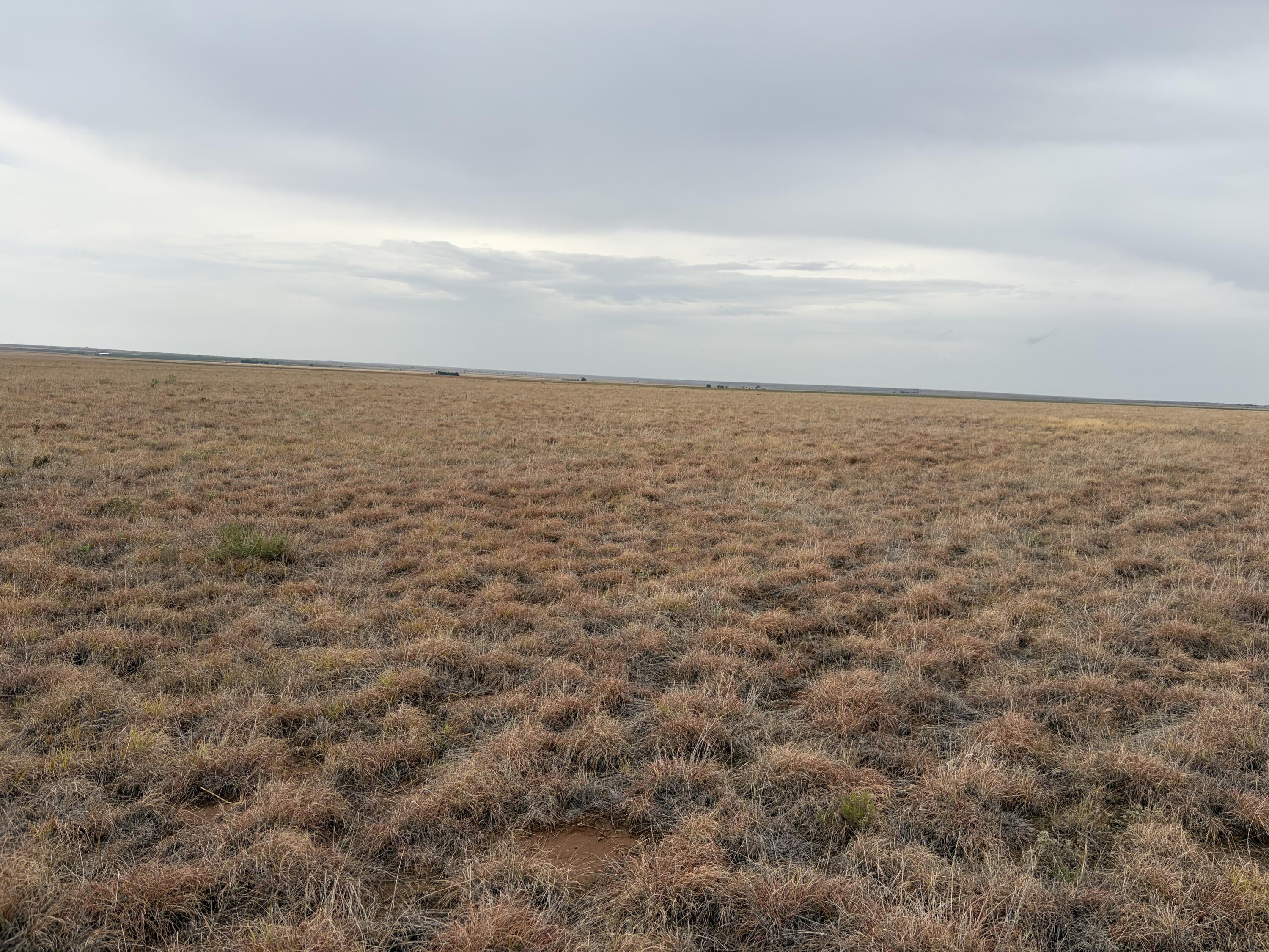 227 Co Road Sudan, TX 79371 - Photo 2 of 15 IMG_4275