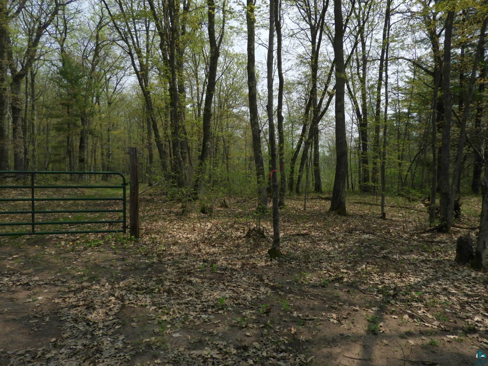 6724 East Deep Lake Road Iron River, WI 54847 - Photo 2 of 8 Gallery Image 2