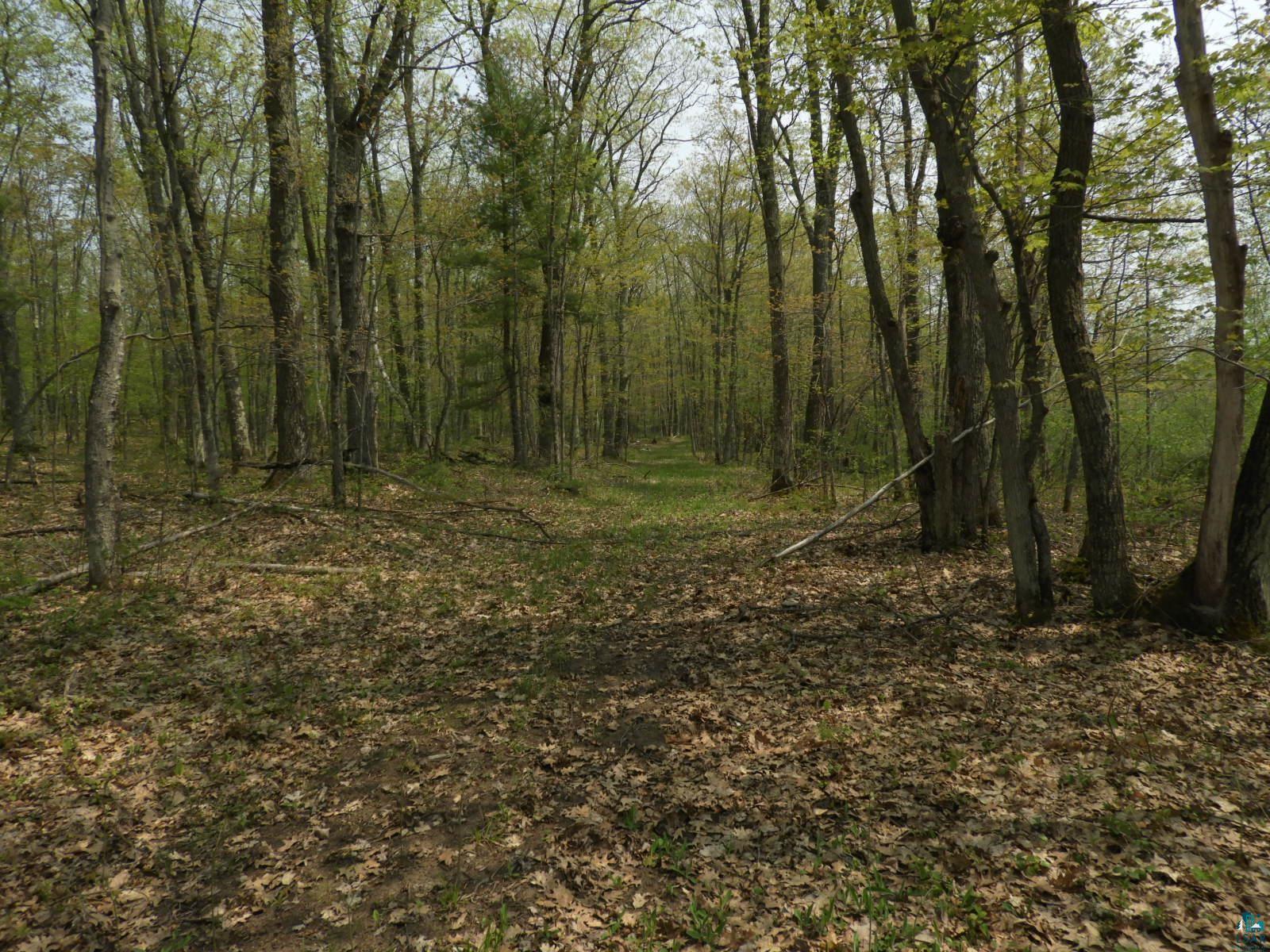 6724 East Deep Lake Road Iron River, WI 54847 - Photo 4 of 8 Gallery Image 4