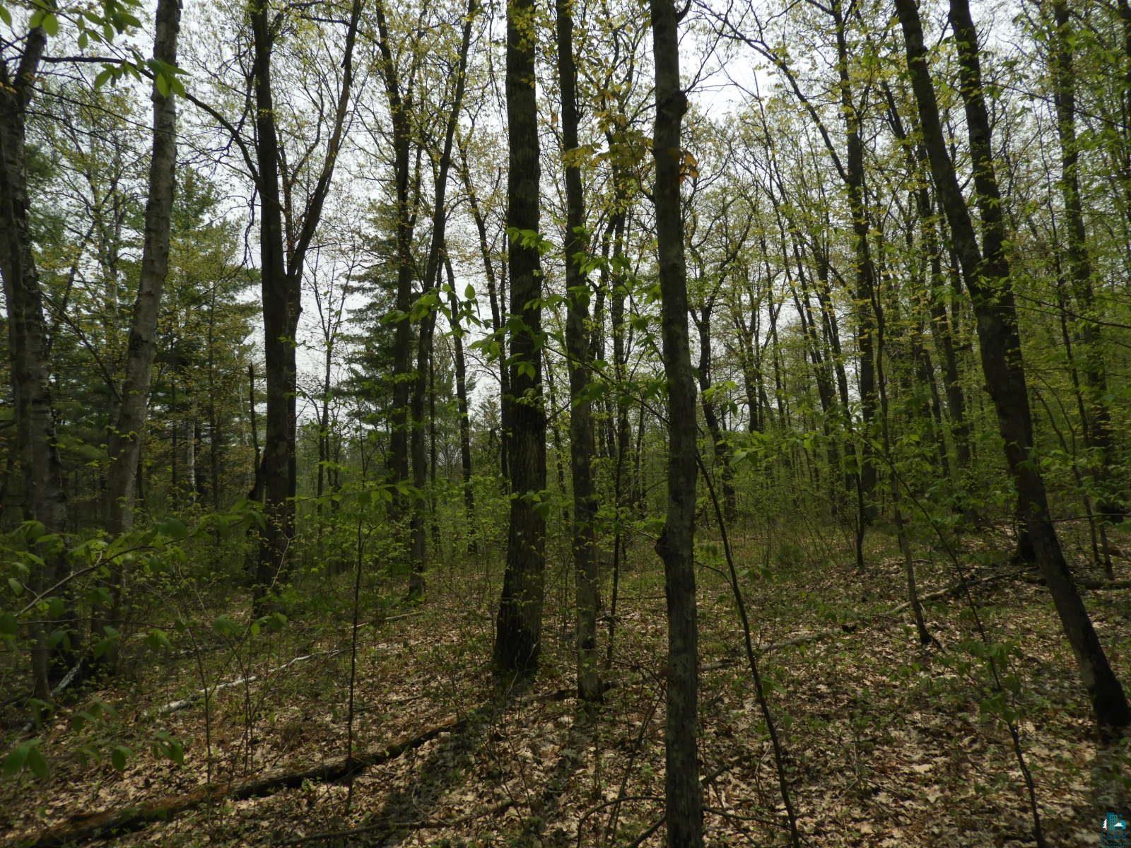 6724 East Deep Lake Road Iron River, WI 54847 - Photo 5 of 8 Gallery Image 5