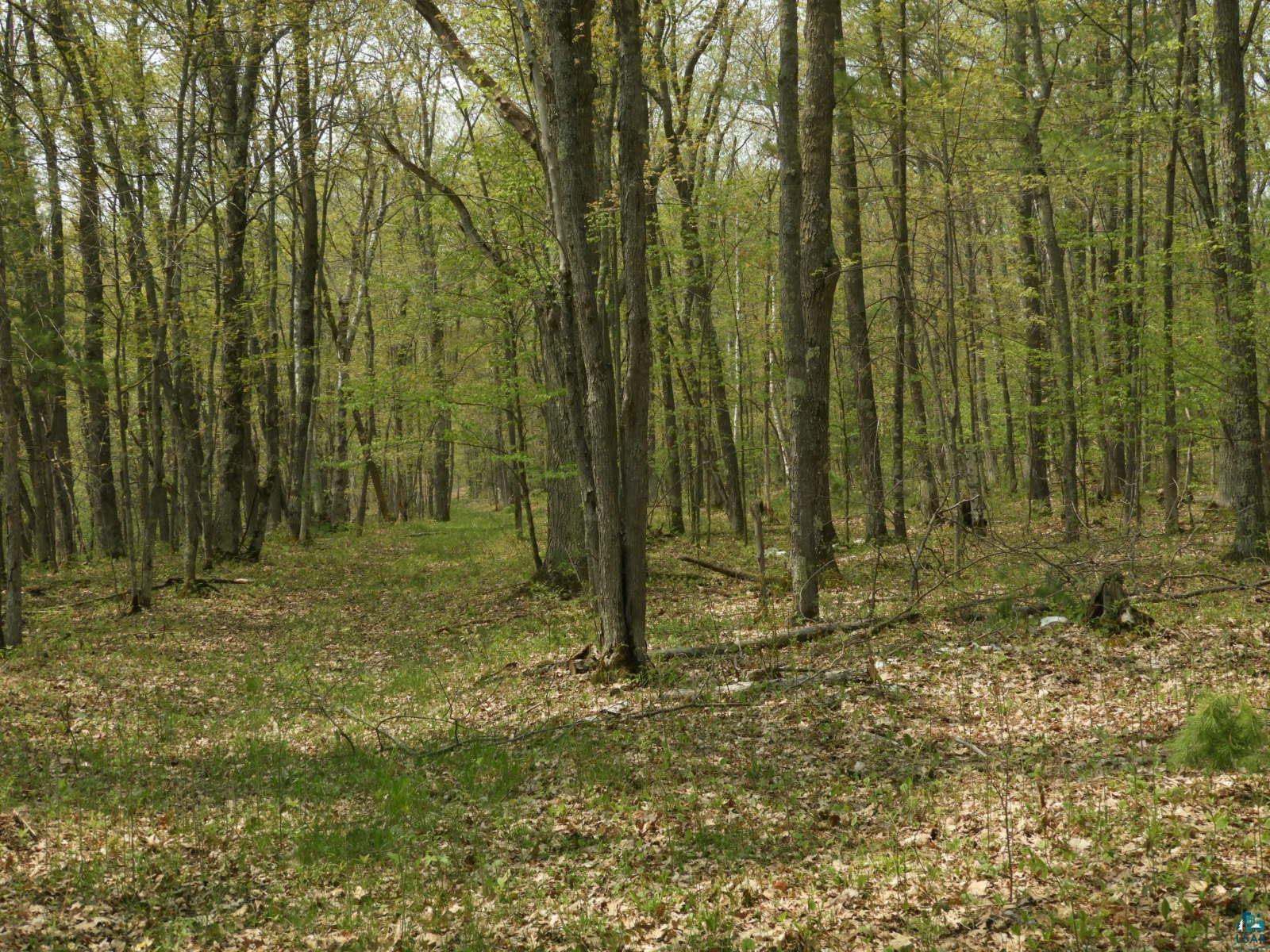 6724 East Deep Lake Road Iron River, WI 54847 - Photo 7 of 8 Gallery Image 7
