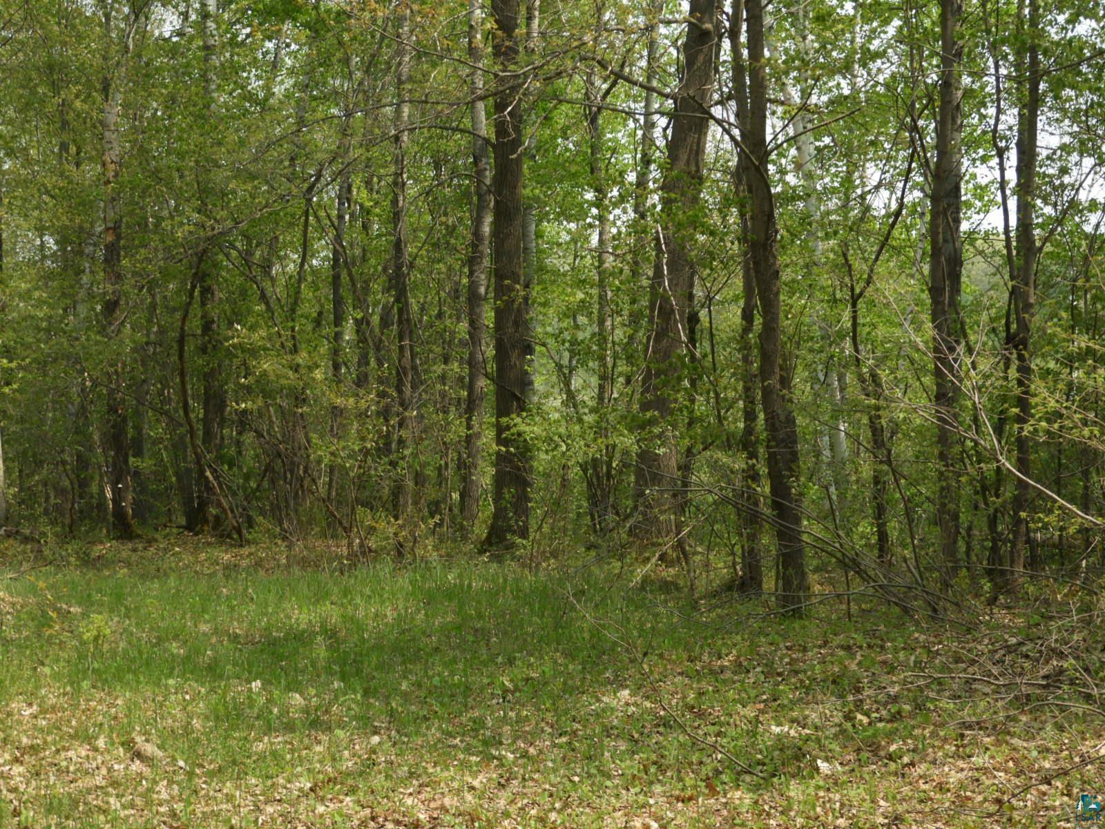 6724 East Deep Lake Road Iron River, WI 54847 - Photo 8 of 8 Gallery Image 8