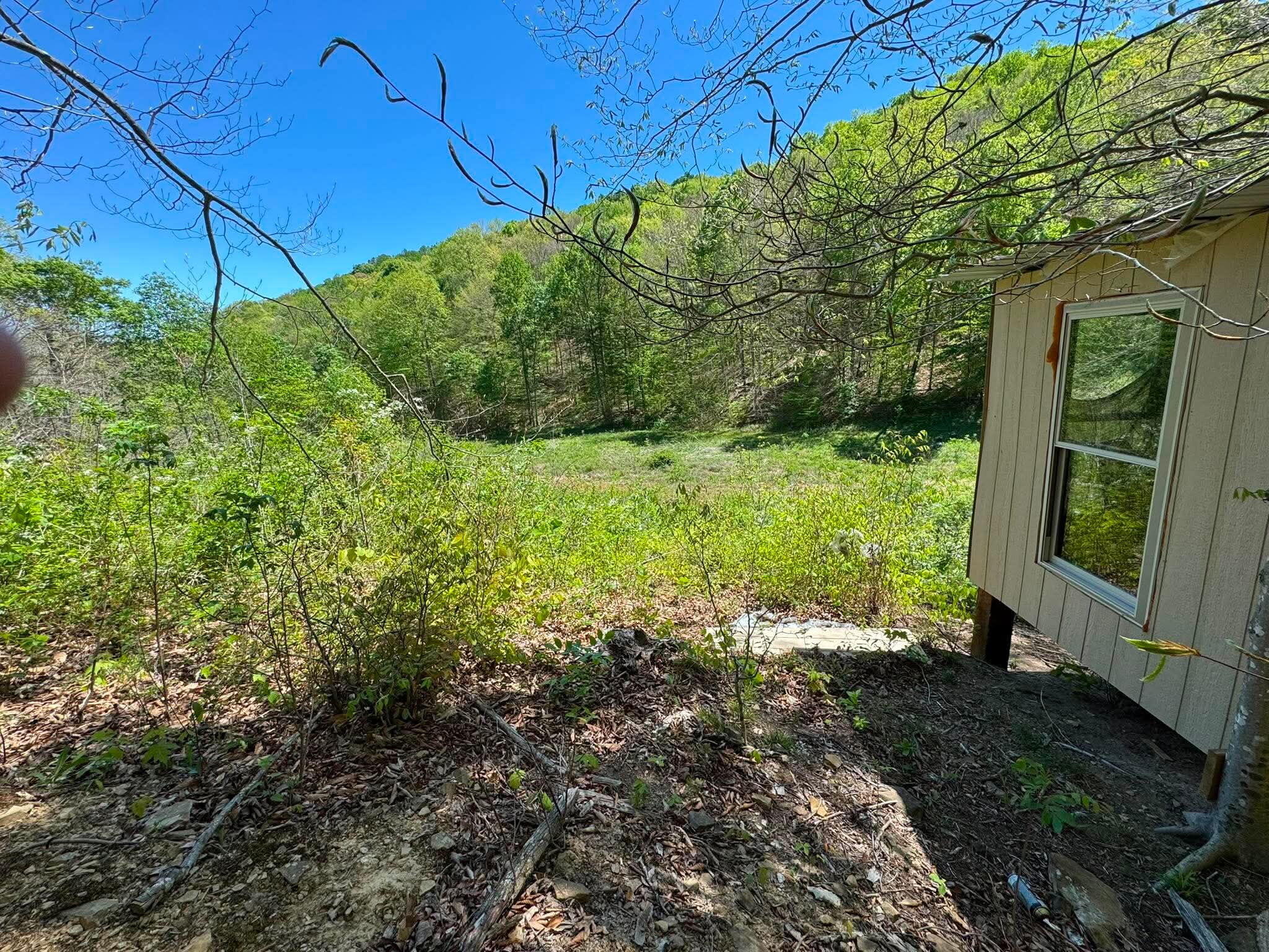 0 Spring Road Wallingford, KY 41093 - Photo 24 of 48 1000006923