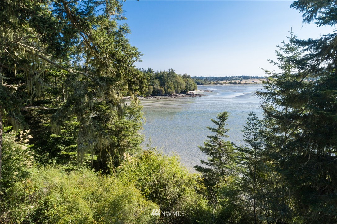 0 Bayshore Road Friday Harbor, WA 98250 - Photo 26 of 33 Gallery Image 26