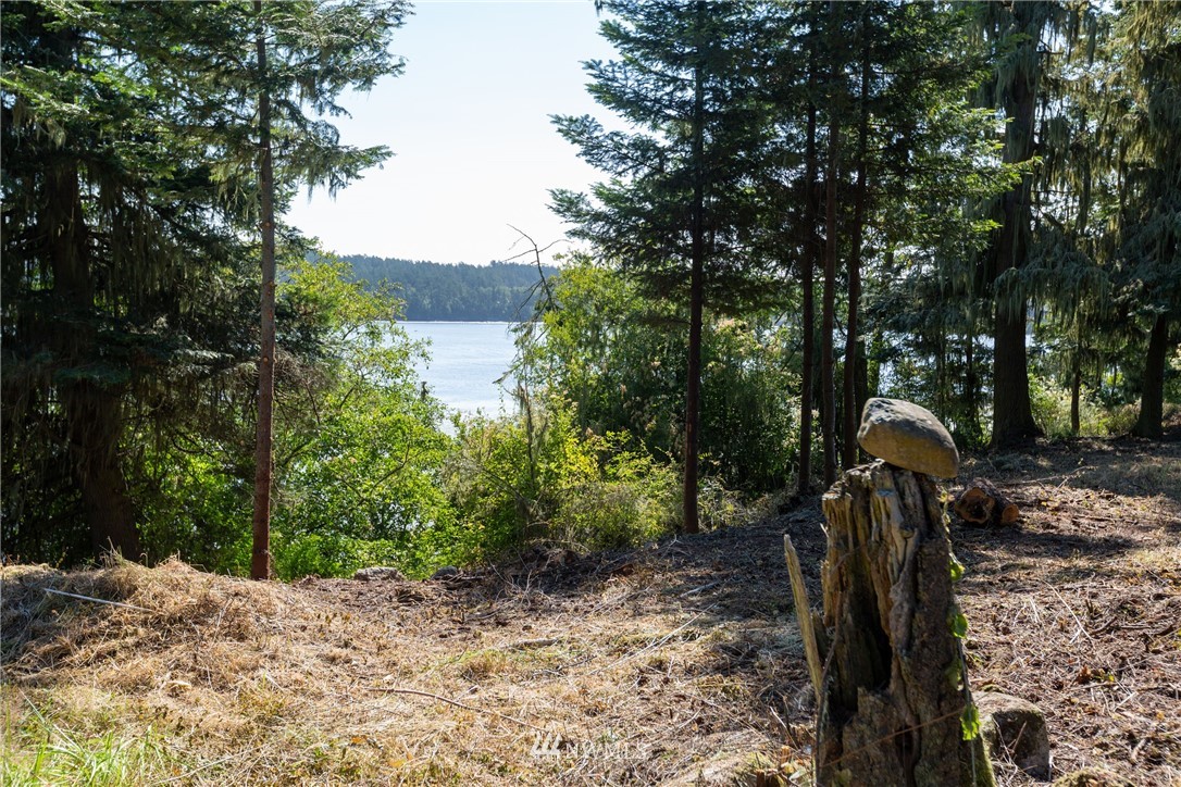 0 Bayshore Road Friday Harbor, WA 98250 - Photo 29 of 33 Gallery Image 29