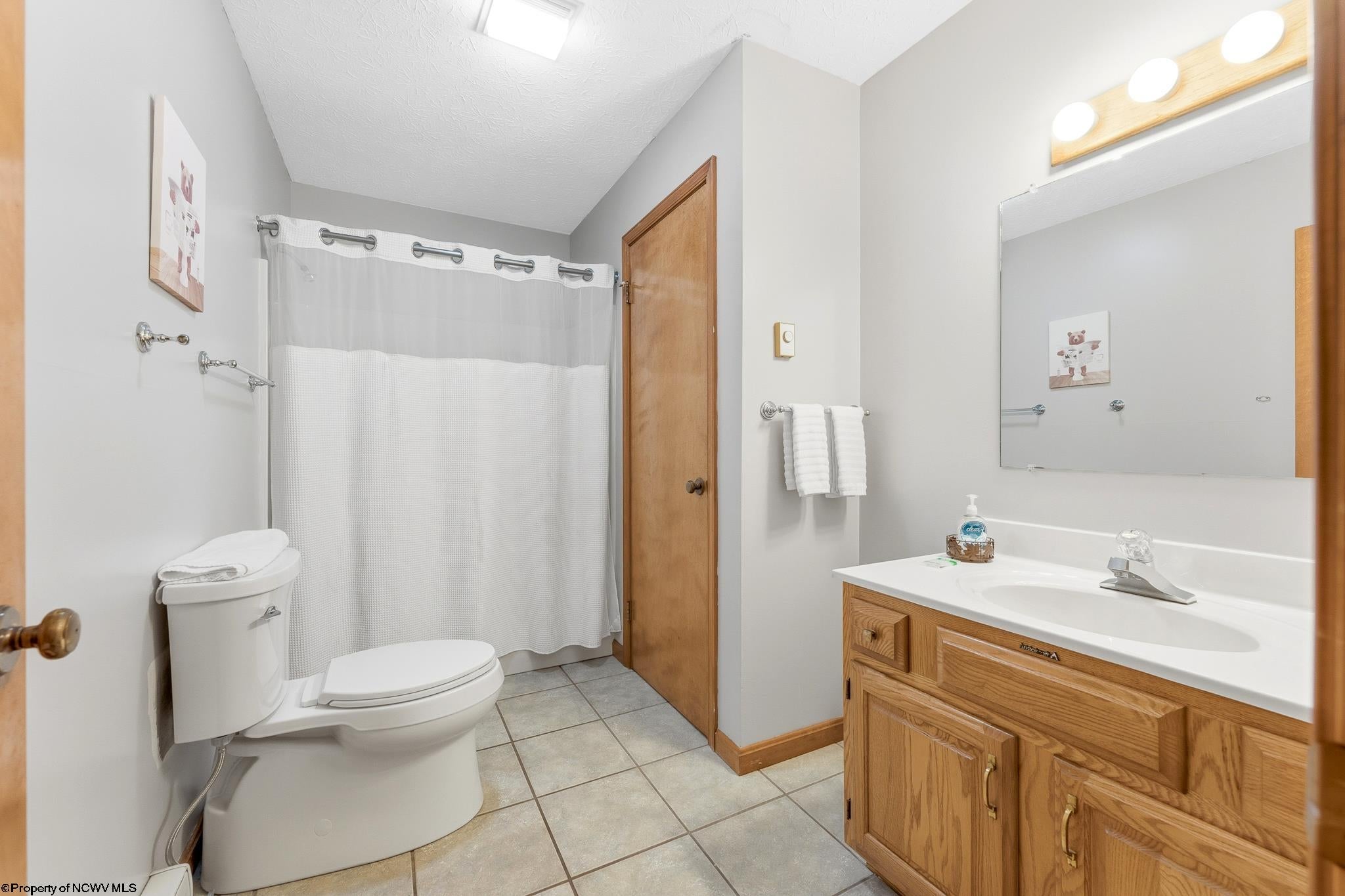 146 Yoakum Run Road Davis, WV 26260 - Photo 22 of 28 Gallery Image 22