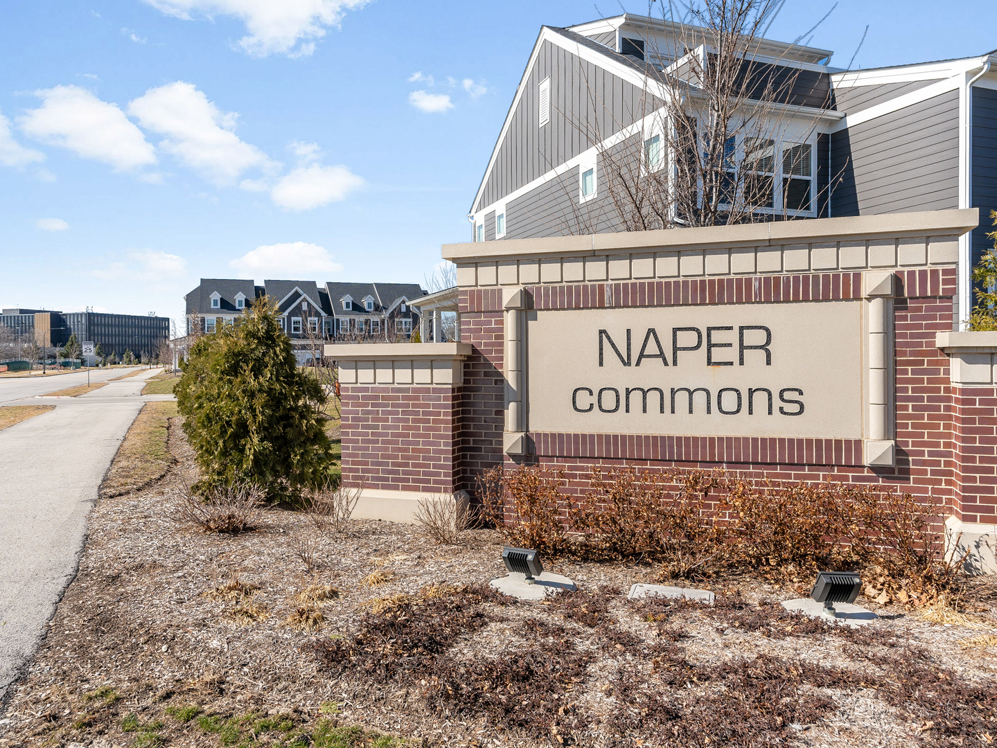 2552 Weatherbee Lane Naperville, IL 60563 - Photo 33 of 43