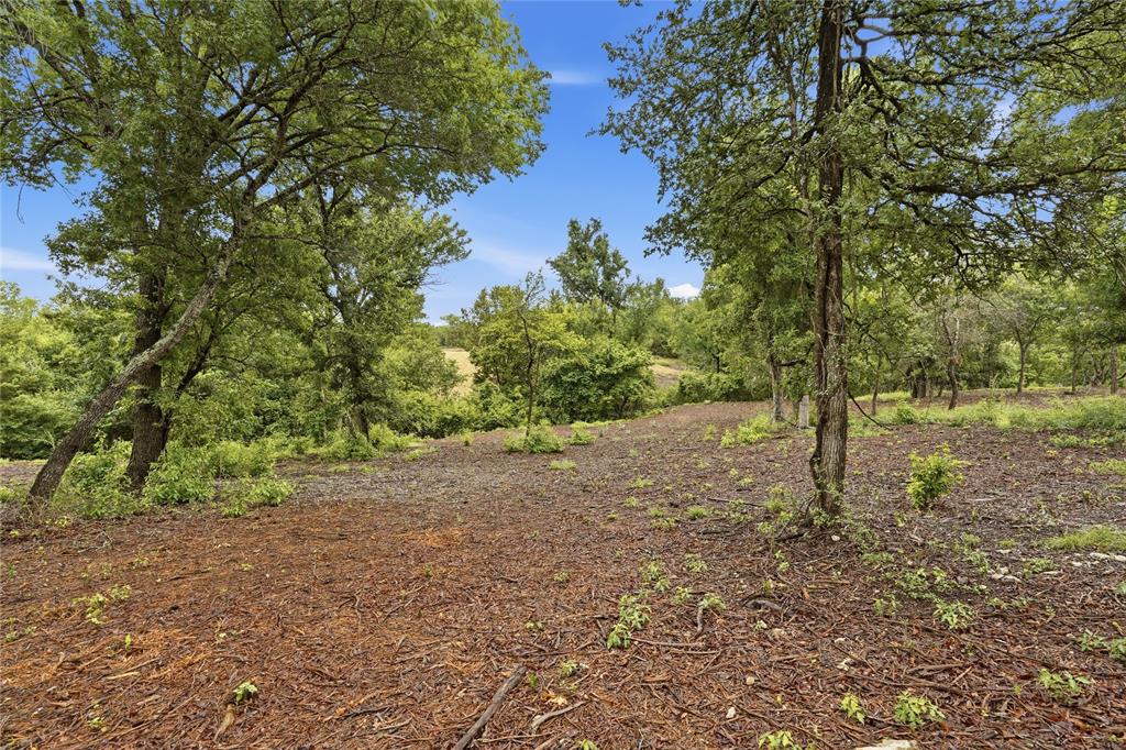 Tbd Northview Road Aledo, TX 76008 - Photo 14 of 35 a view of a forest with trees