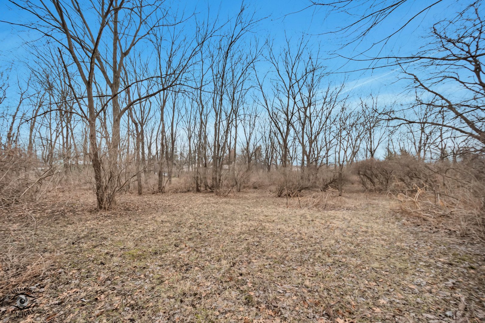 910 Oldfield Road Downers Grove, IL 60516 - Photo 30 of 41