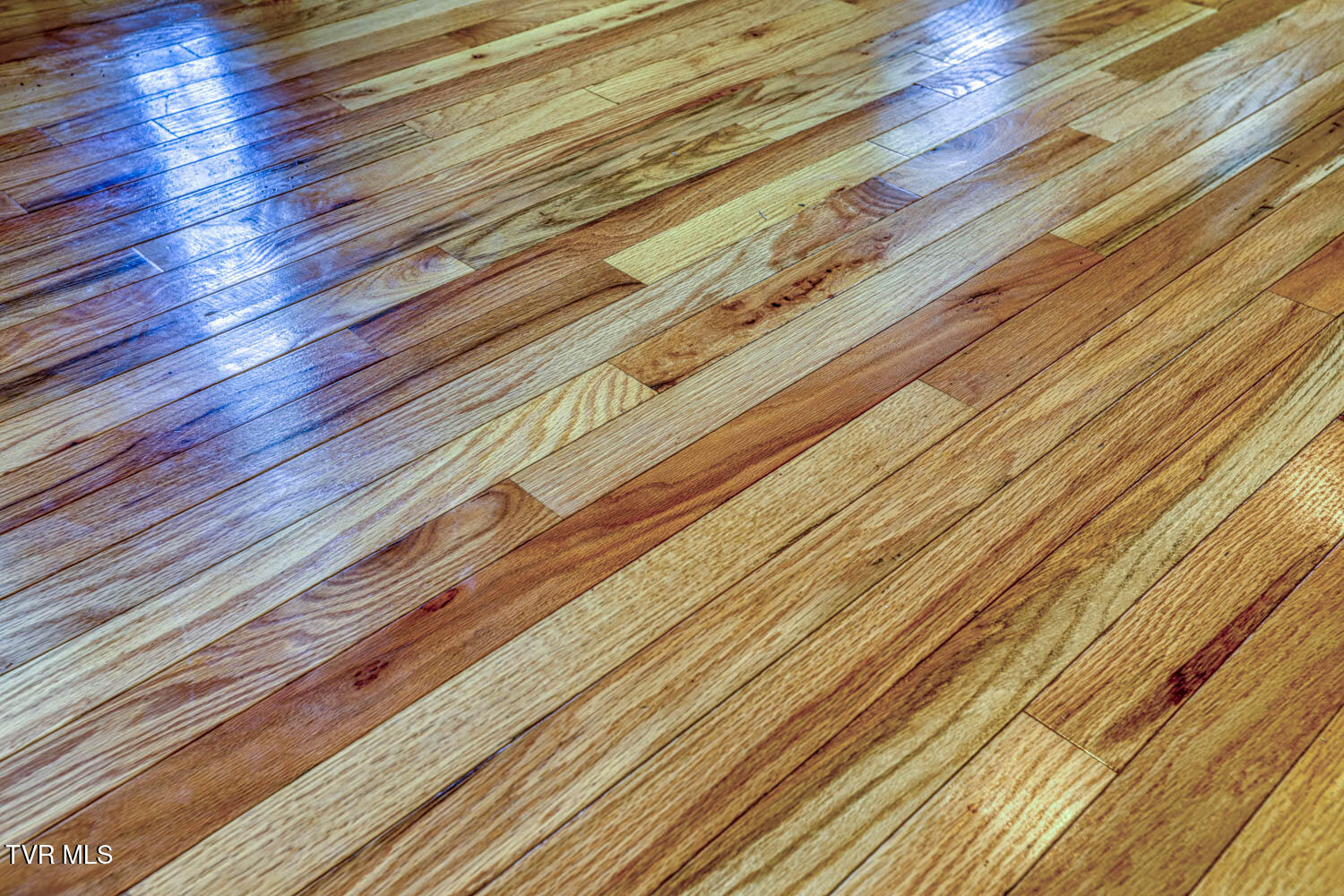 293 Lee Valley Road Whitesburg, TN 37891 - Photo 101 of 145 Main home