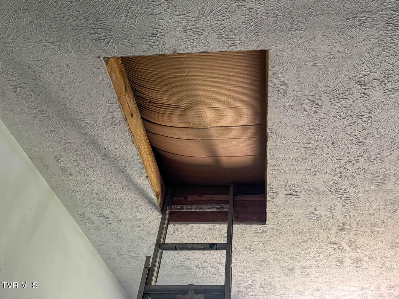 293 Lee Valley Road Whitesburg, TN 37891 - Photo 106 of 145 Main home