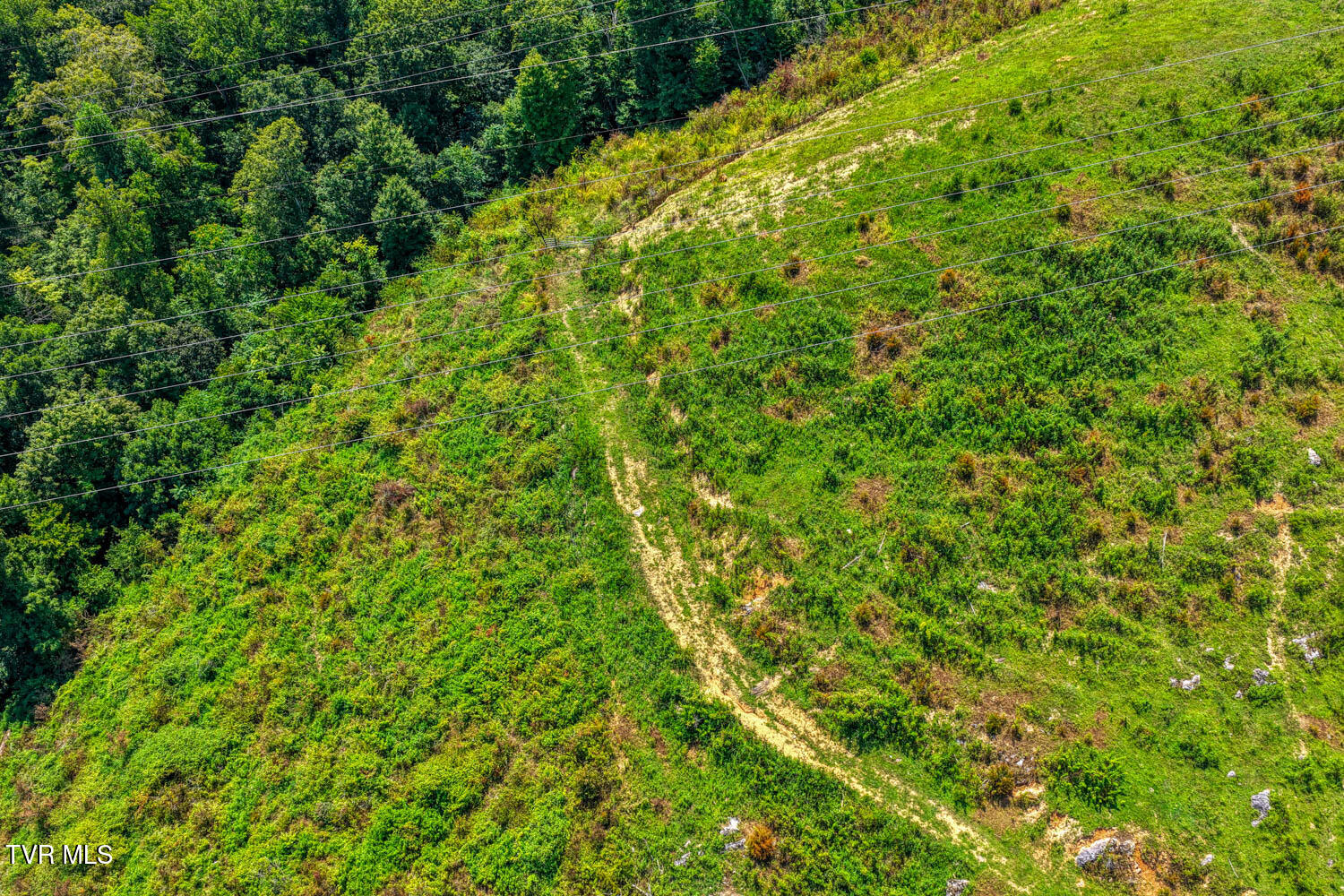 293 Lee Valley Road Whitesburg, TN 37891 - Photo 50 of 145 Lee Valley. Rog MLSa (49 of 68)