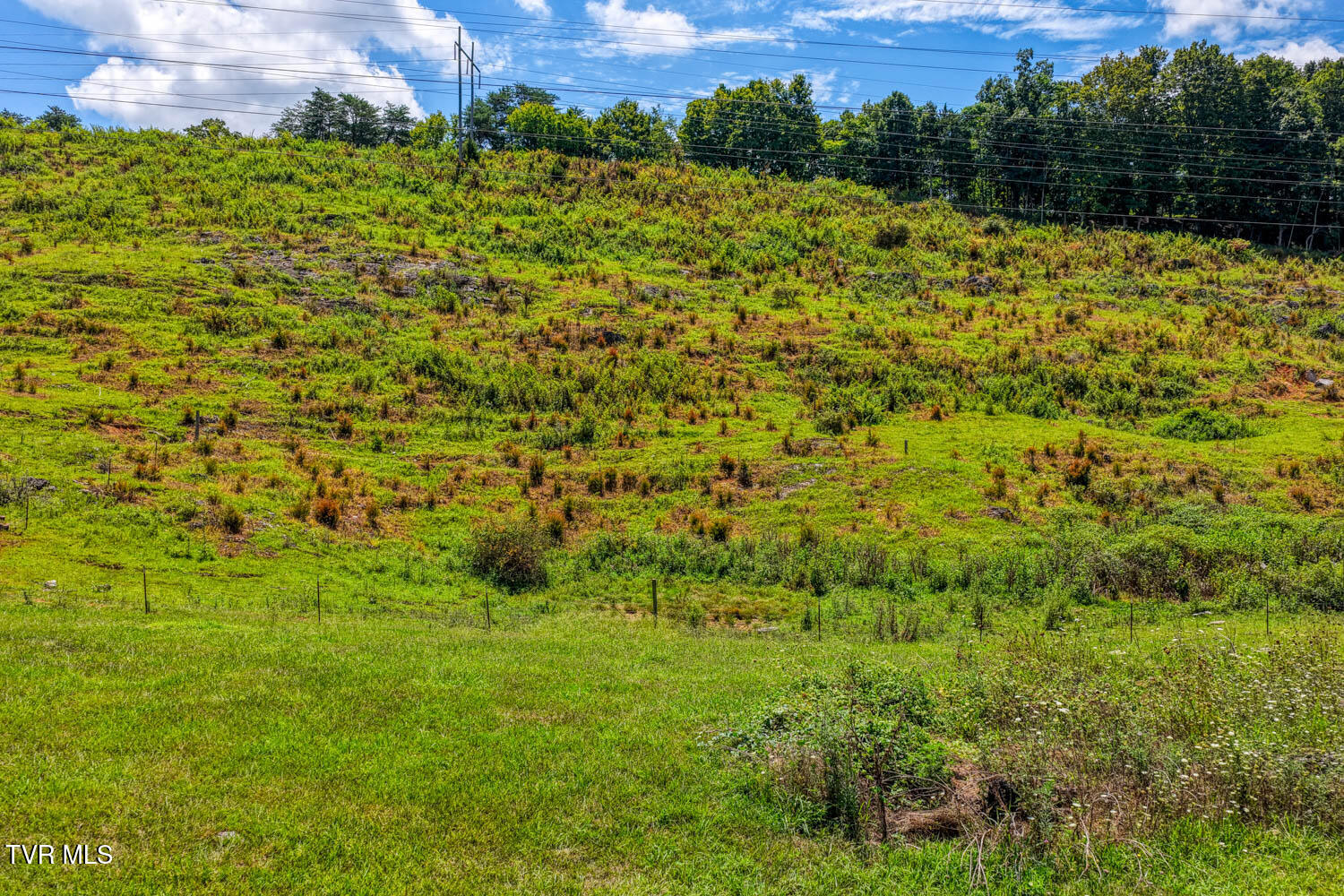 293 Lee Valley Road Whitesburg, TN 37891 - Photo 53 of 145 Lee Valley. Rog MLSa (52 of 68)