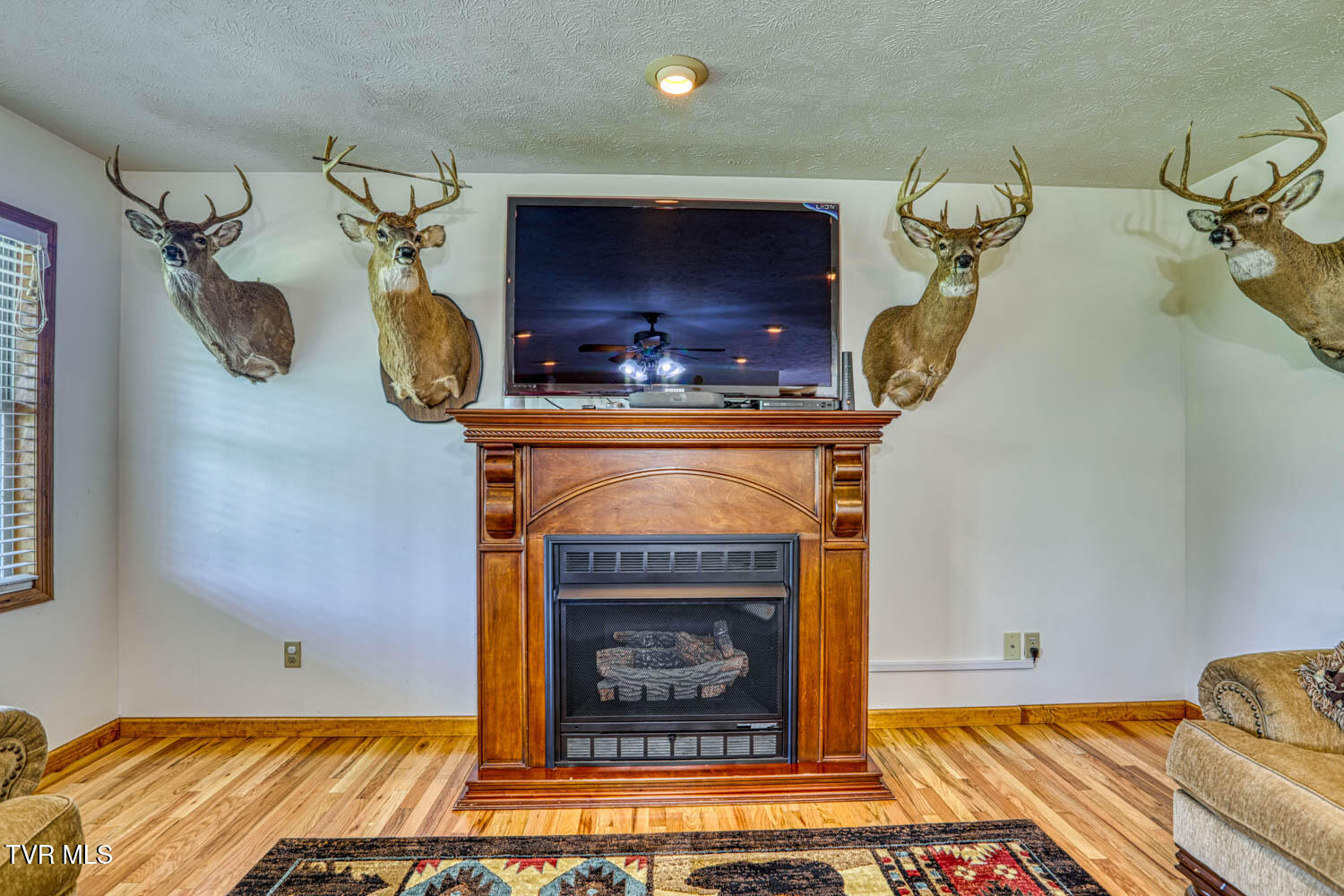 293 Lee Valley Road Whitesburg, TN 37891 - Photo 80 of 145 Main home