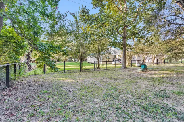 a view of a tree in the middle of a yard