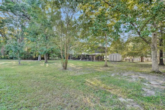 a view of a trees in a yard