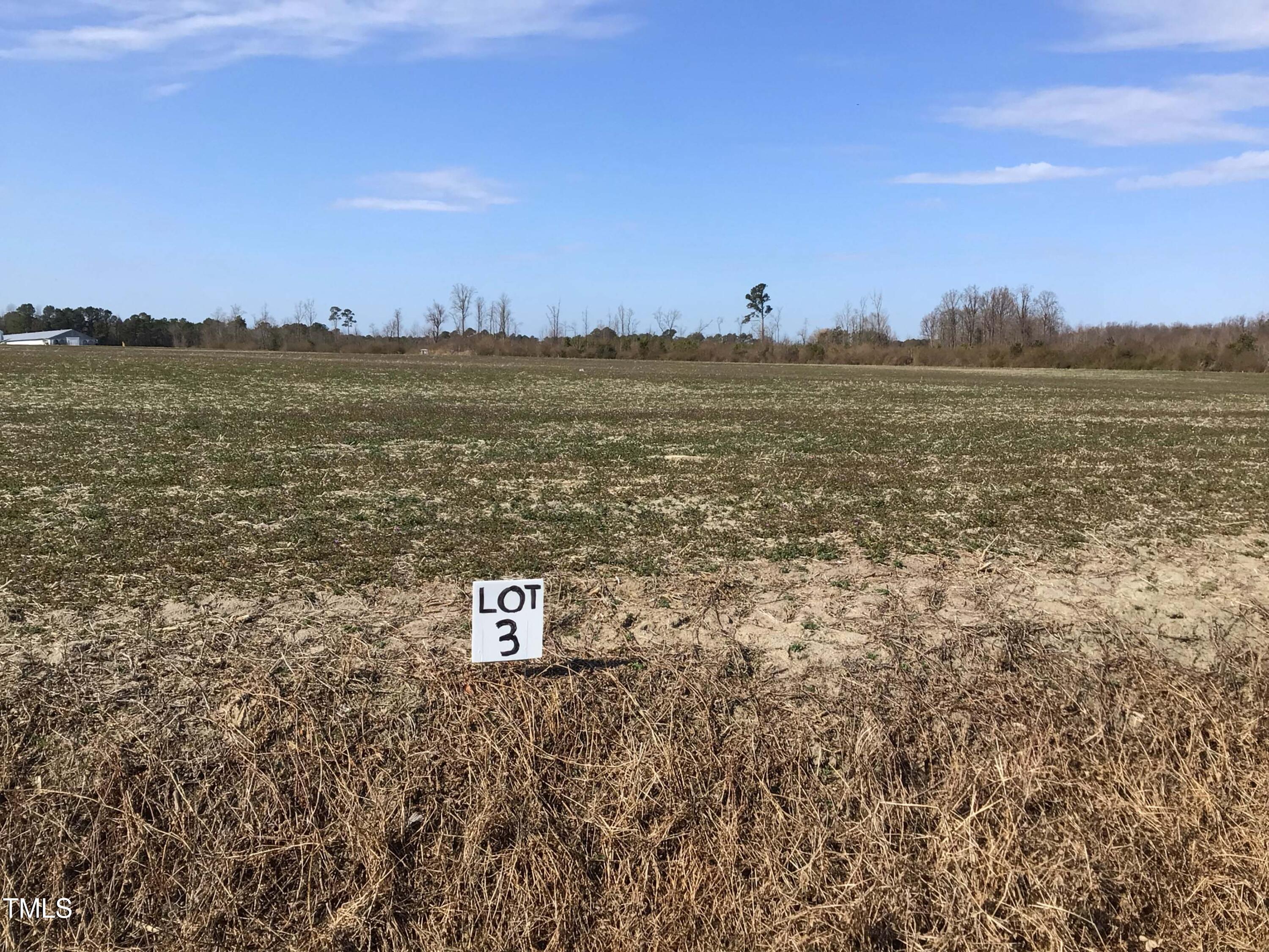 Lot 3 North Blizzardtown Road Pink Hill, NC 28572 - Photo 6 of 6 Lot 3 (8)