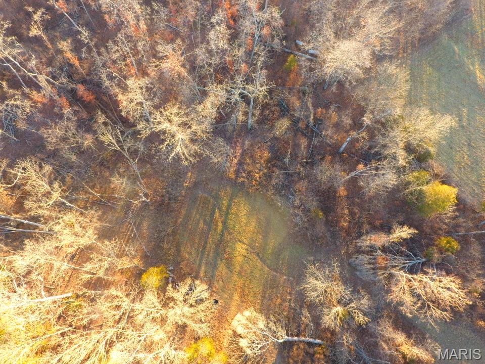 Tbd Van Horn Road Bland, MO 65014 - Photo 33 of 47