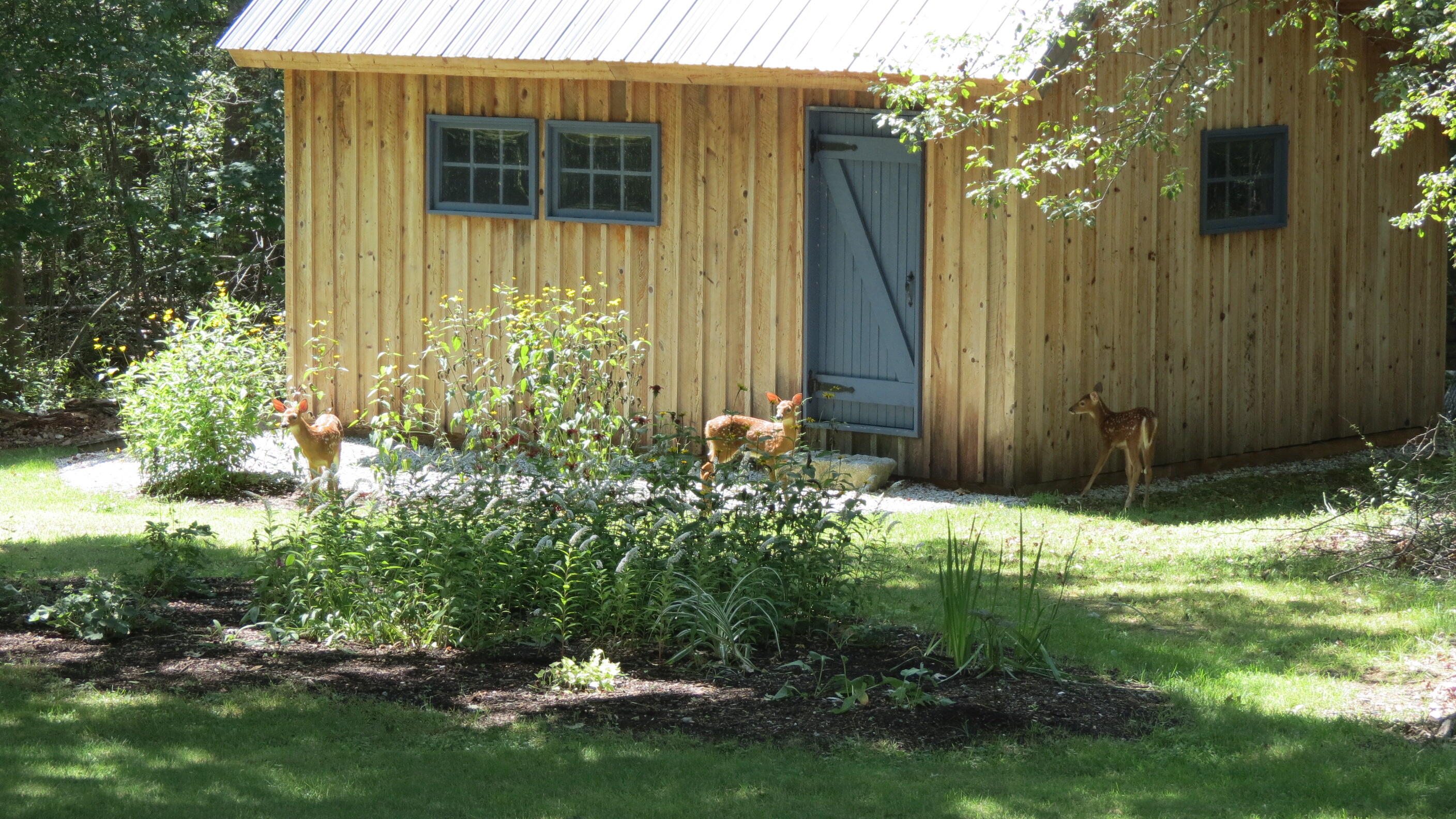45 Fields Pond Road Orrington, ME 04474 - Photo 18 of 48 garden shed
