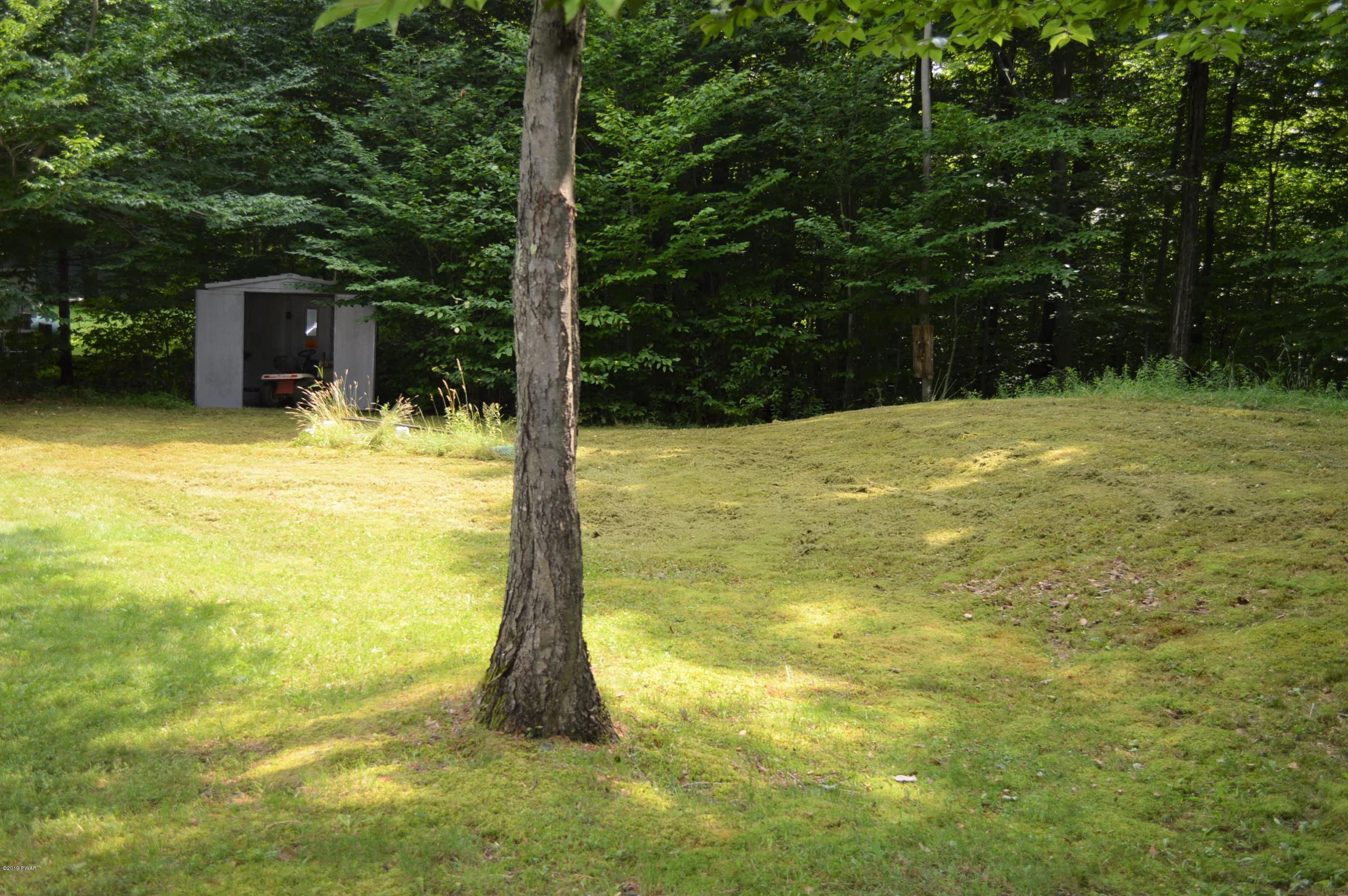 250 South Turnpike Road Newfoundland, PA 18445 - Photo 16 of 26 Back yard
