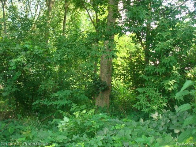 0 East Tienken Road Rochester, MI 48306 - Photo 5 of 9 DSC04002.JPG