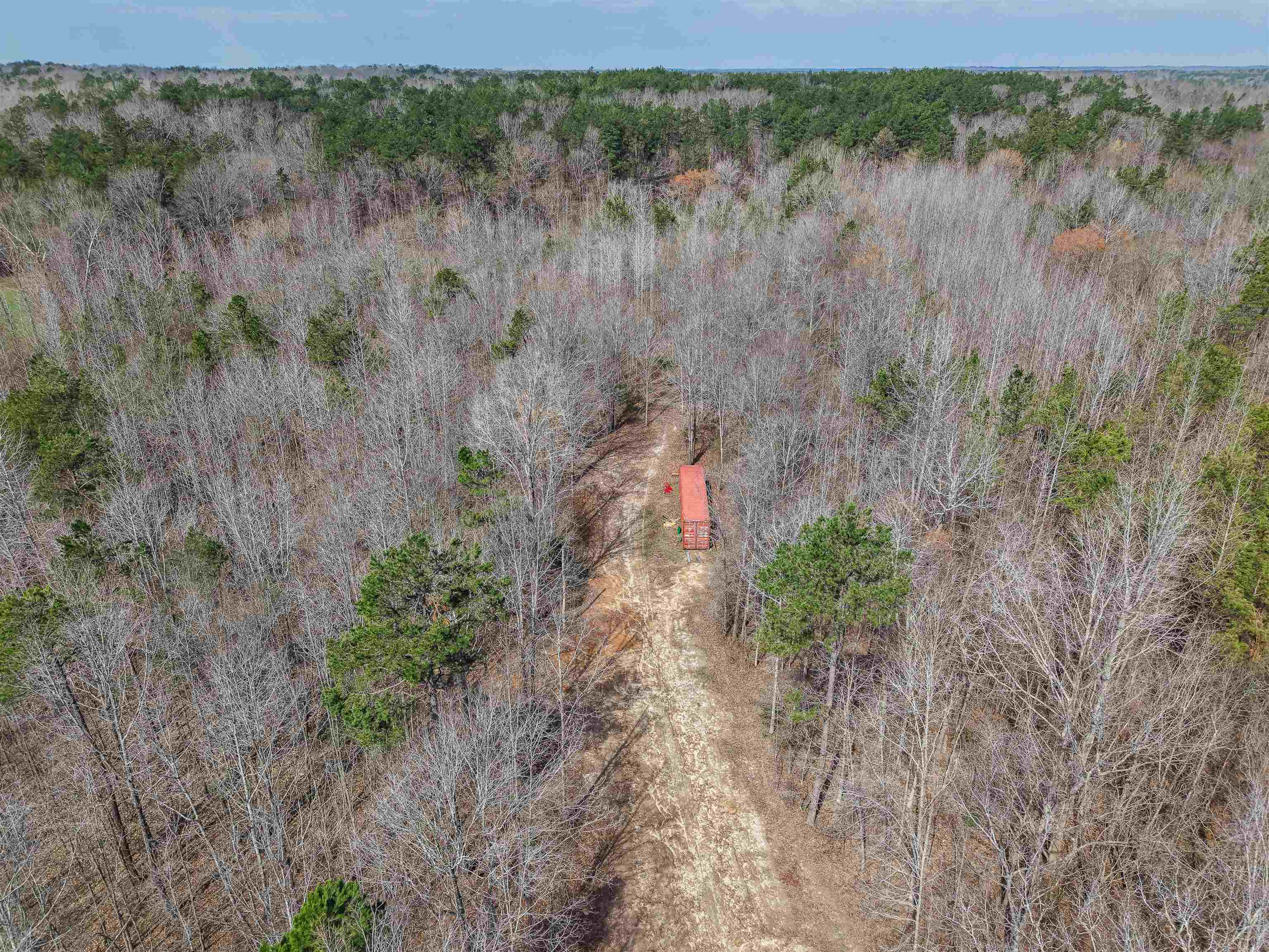 5439 Hines Gin Road Selmer, TN 38375 - Photo 32 of 33 a view of a yard with a tree