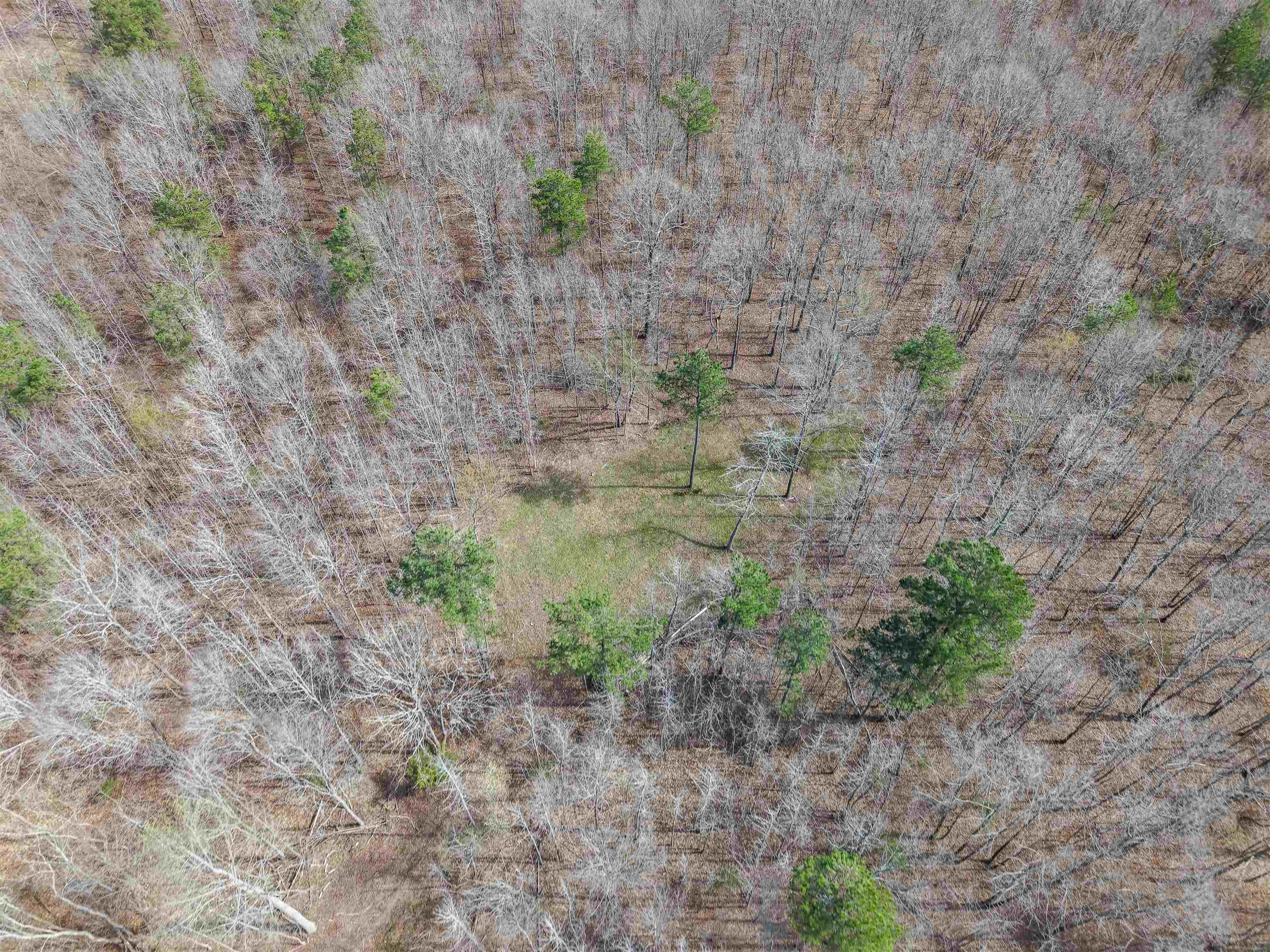 5439 Hines Gin Road Selmer, TN 38375 - Photo 33 of 33 a close up of a wall