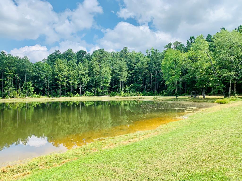 220 Hill Road Abbeville, SC 29620 - Photo 53 of 62 Gallery Image 53