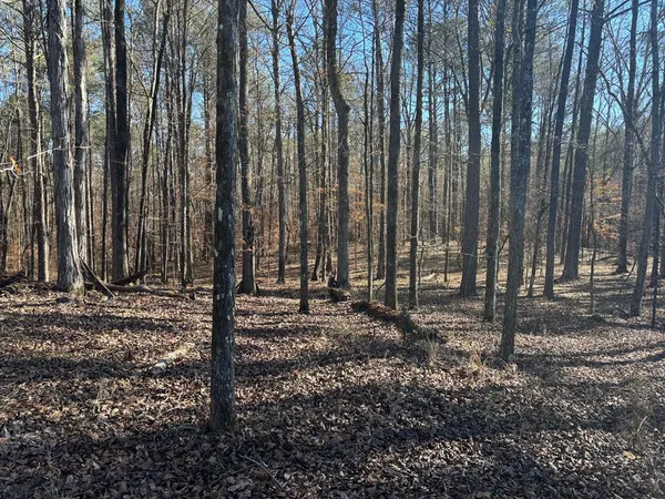 $250,250 | 0 Carl Mathis Road, Talbotton, GA 31827